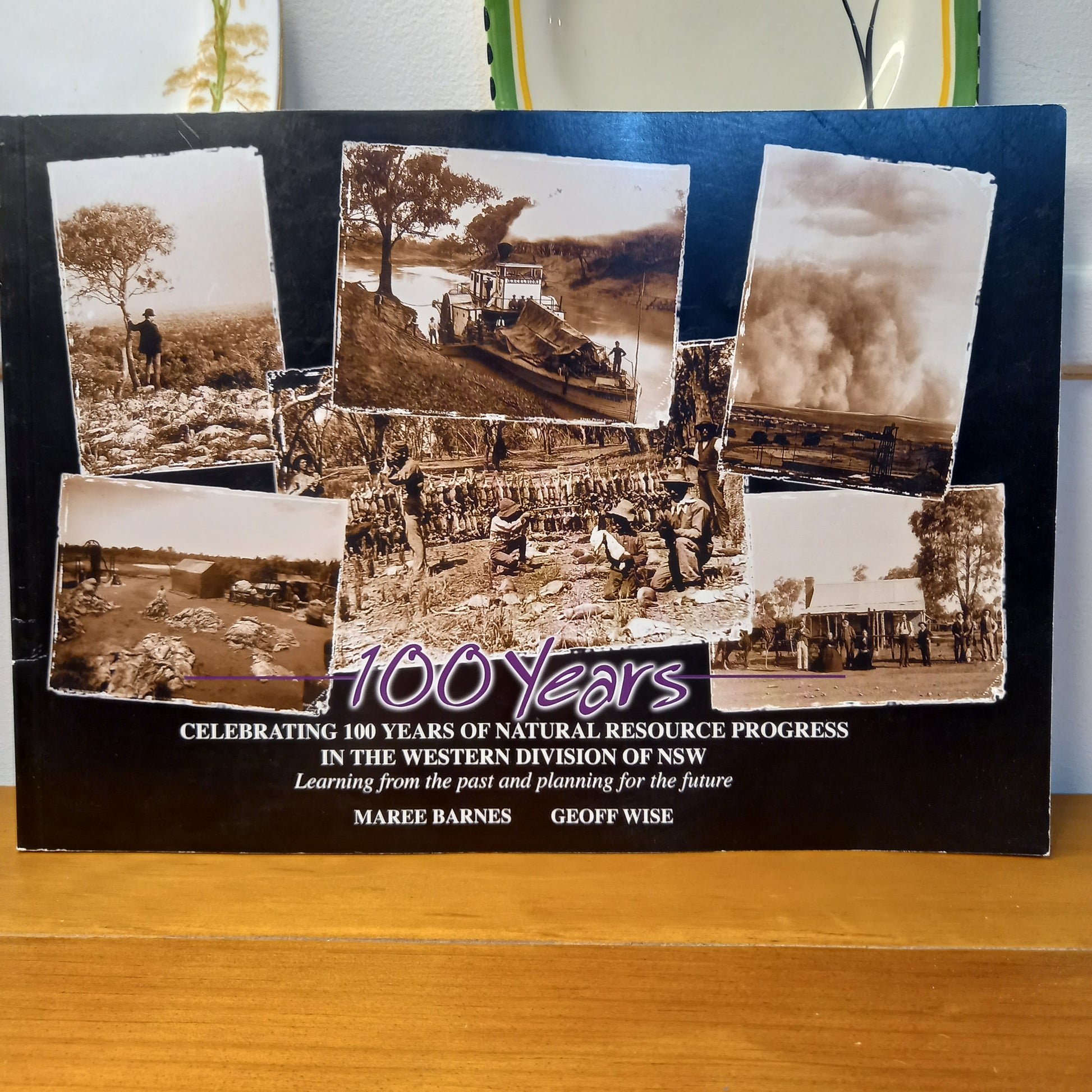 100 Years Celebrating 100 Years of Natural Resource Progress in the Western Division by Maree Barnes and Geoff Wise-Books-Tilbrook and Co