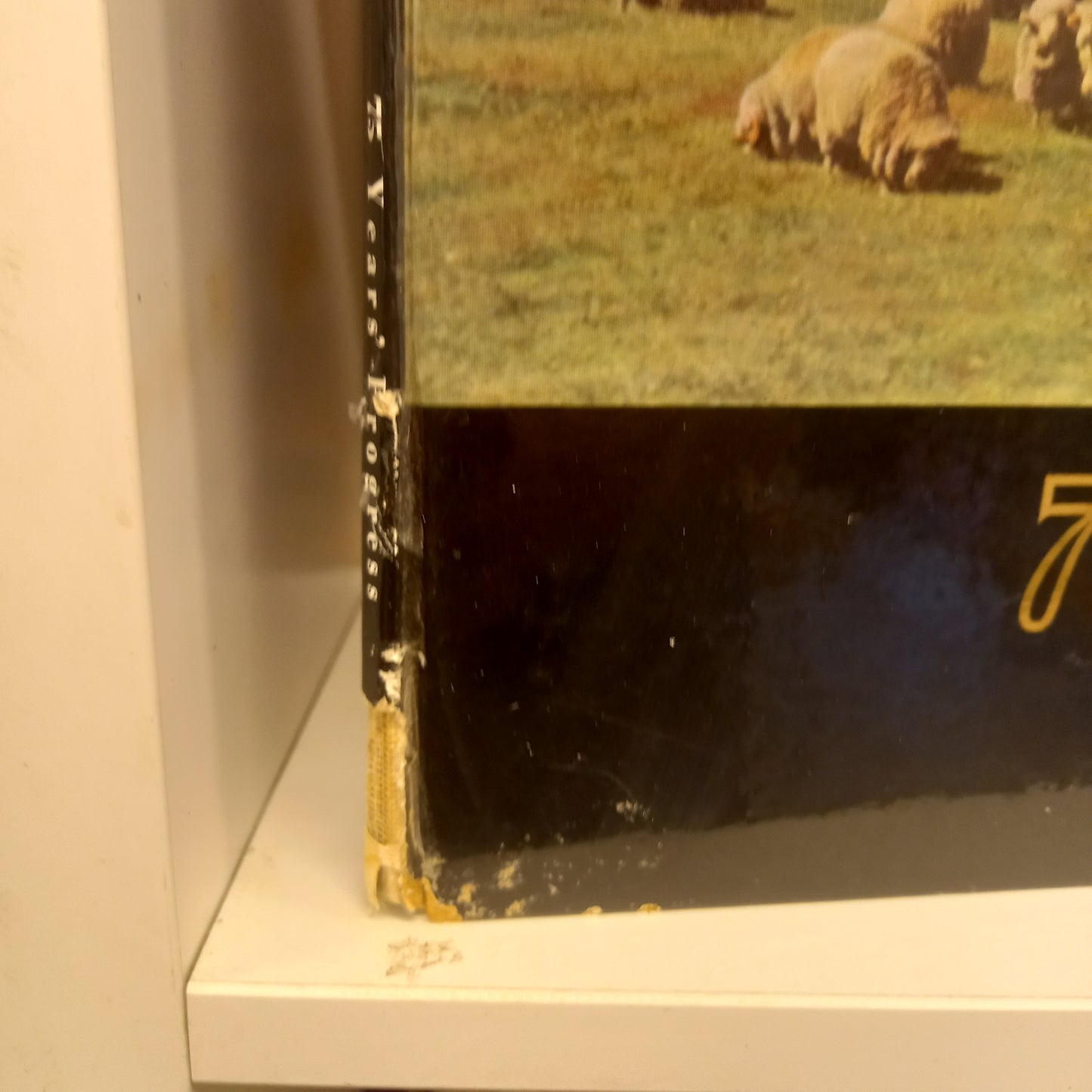 75 Years' Progress at Haddon Rig-Book-Tilbrook and Co