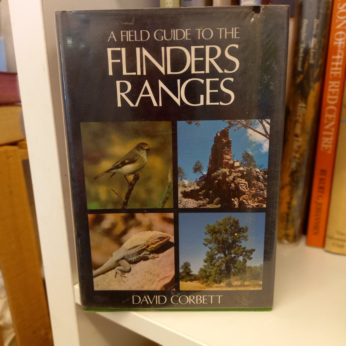 A Field Guide to the Flinders Ranges – David Corbett (Ed.)-Book - Natural History/Field Guide-Tilbrook and Co