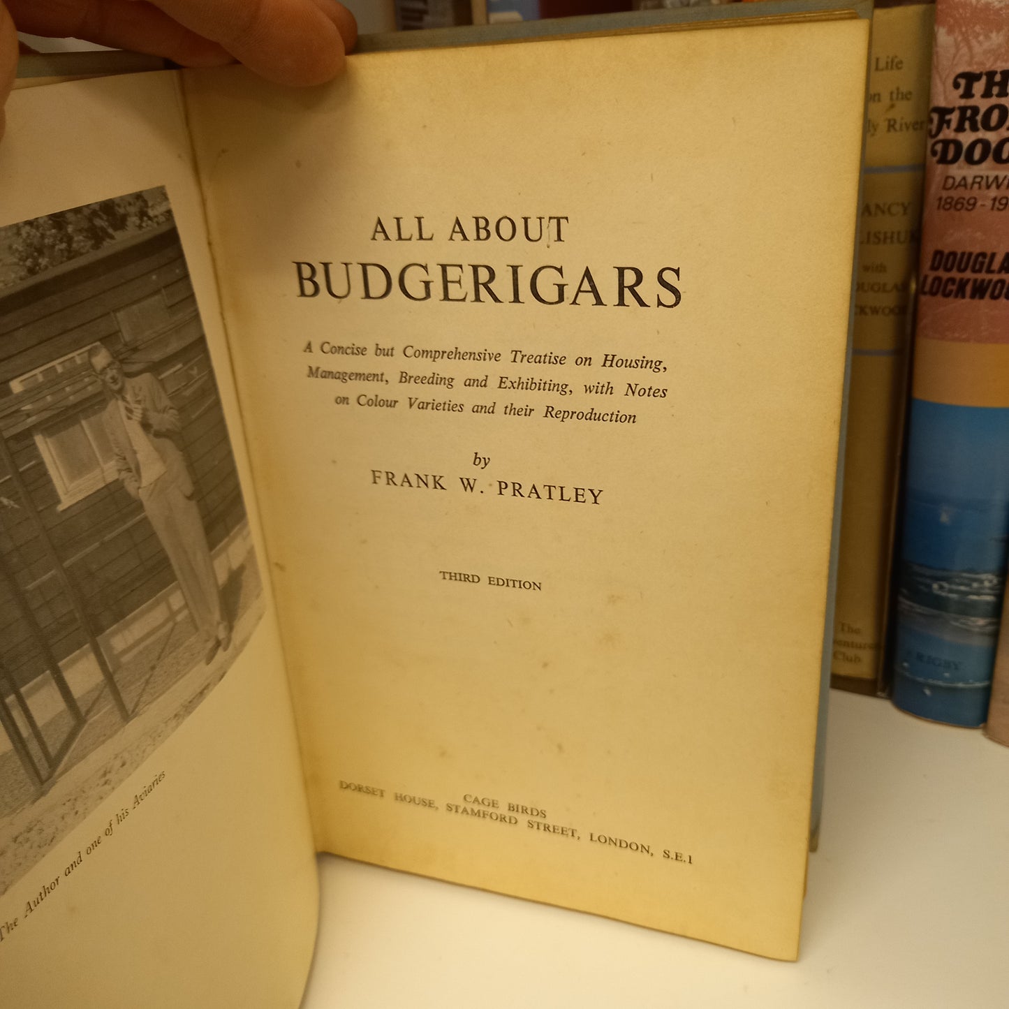 All About Budgerigars by Frank W Pratley-Books-Tilbrook and Co