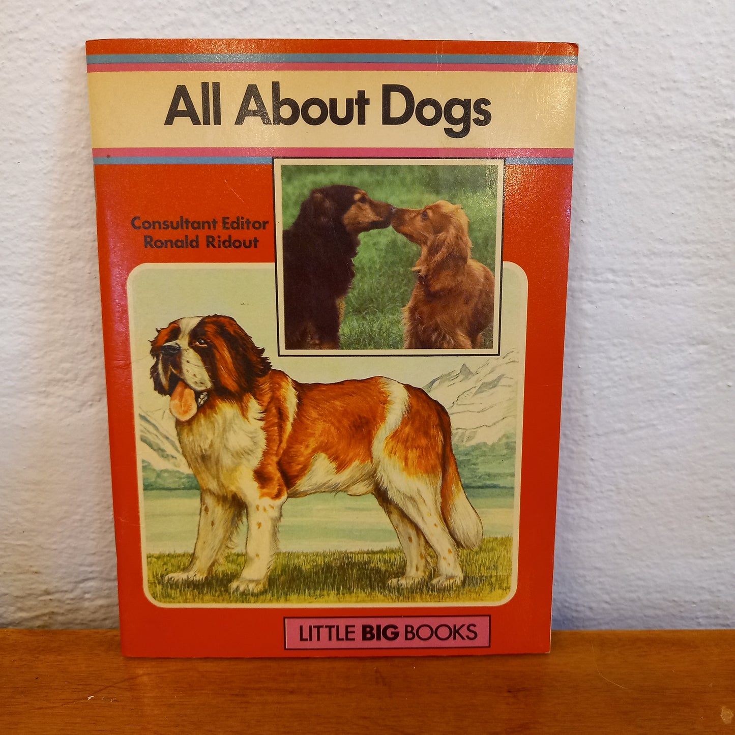All About Dogs | Little Big Books Series | Vintage Children's Pet Book (1977)-Vintage Children's Non-Fiction / Animal & Pet Care-Tilbrook and Co