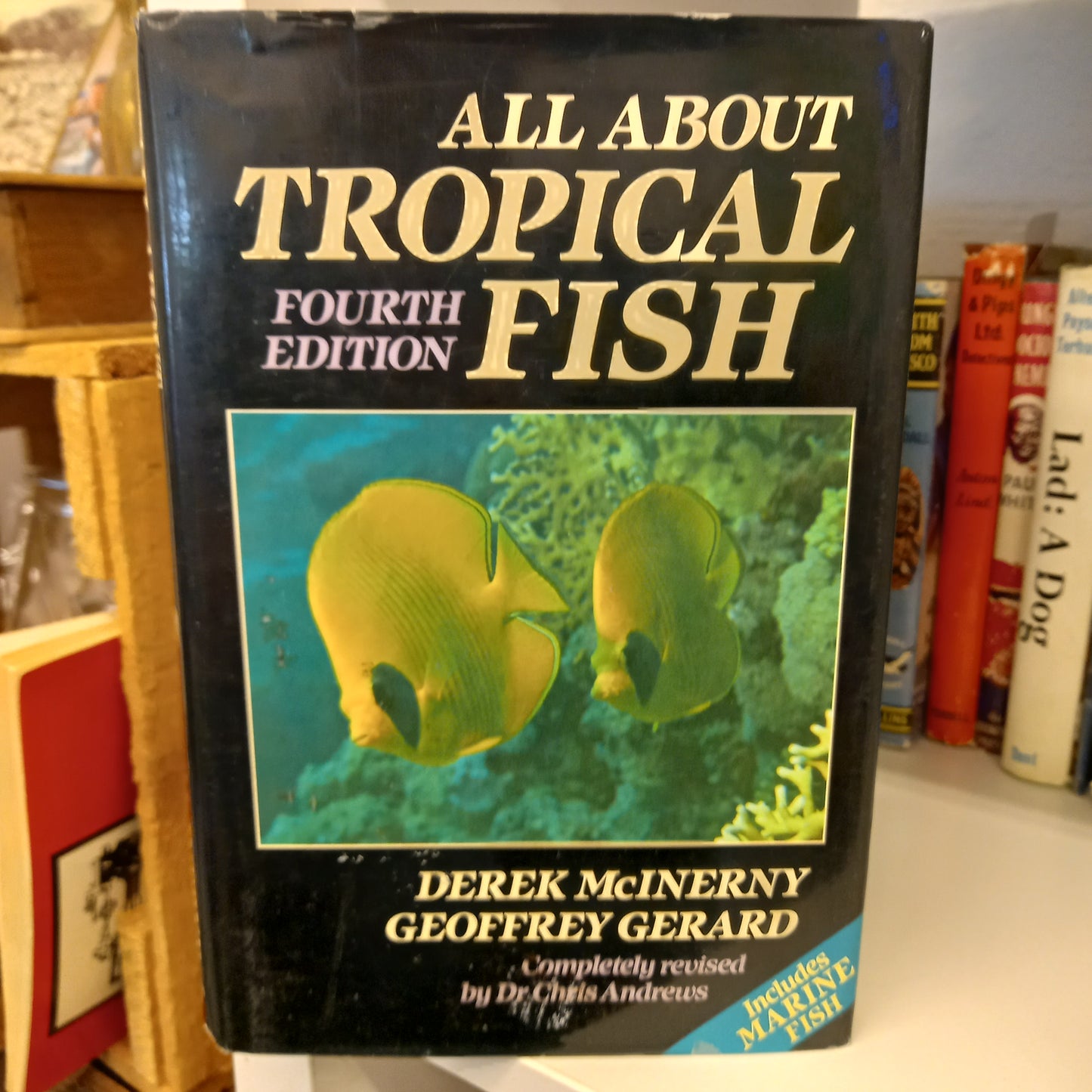 All about tropical fish by Derek McInerny, Geoffrey Gerard-Book-Tilbrook and Co