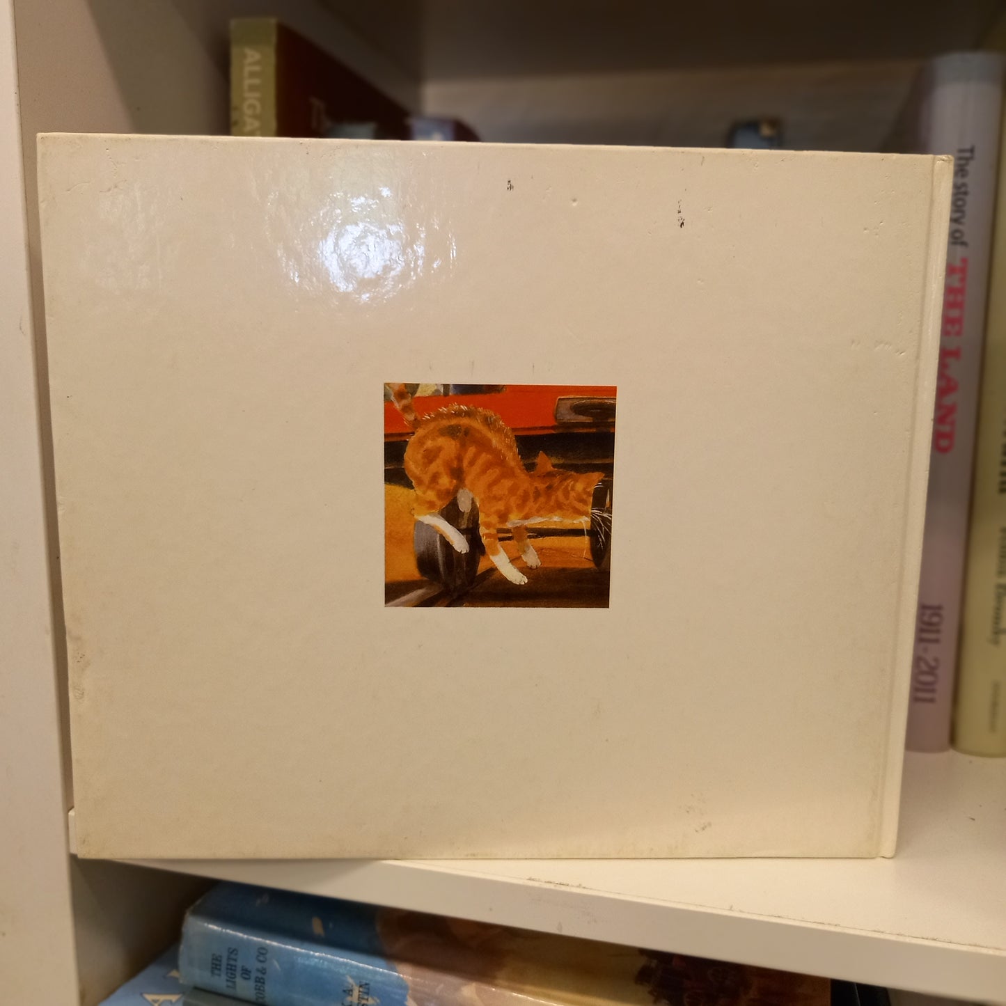 An eye full of soot and an ear full of steam by Nan Hunt-Book-Tilbrook and Co