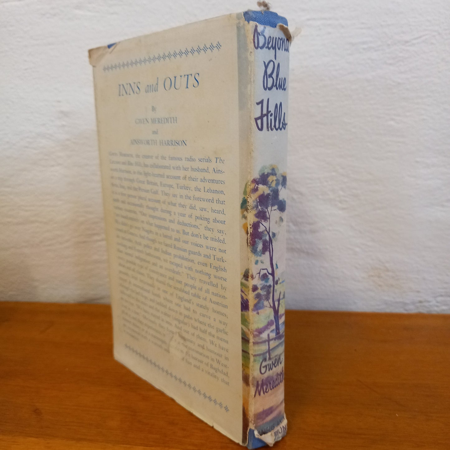 Beyond Blue Hills: The Ernnaboola Story by Gwen Meredith-Book-Tilbrook and Co