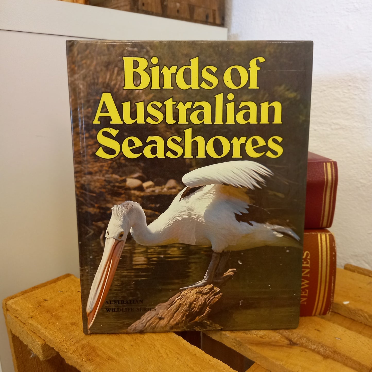 Birds of Australian Seashores – Australian Wildlife Series (Bay Books, 1981) | Vintage Seabird Book-Vintage Children's Books / Australian Natural History-Tilbrook and Co