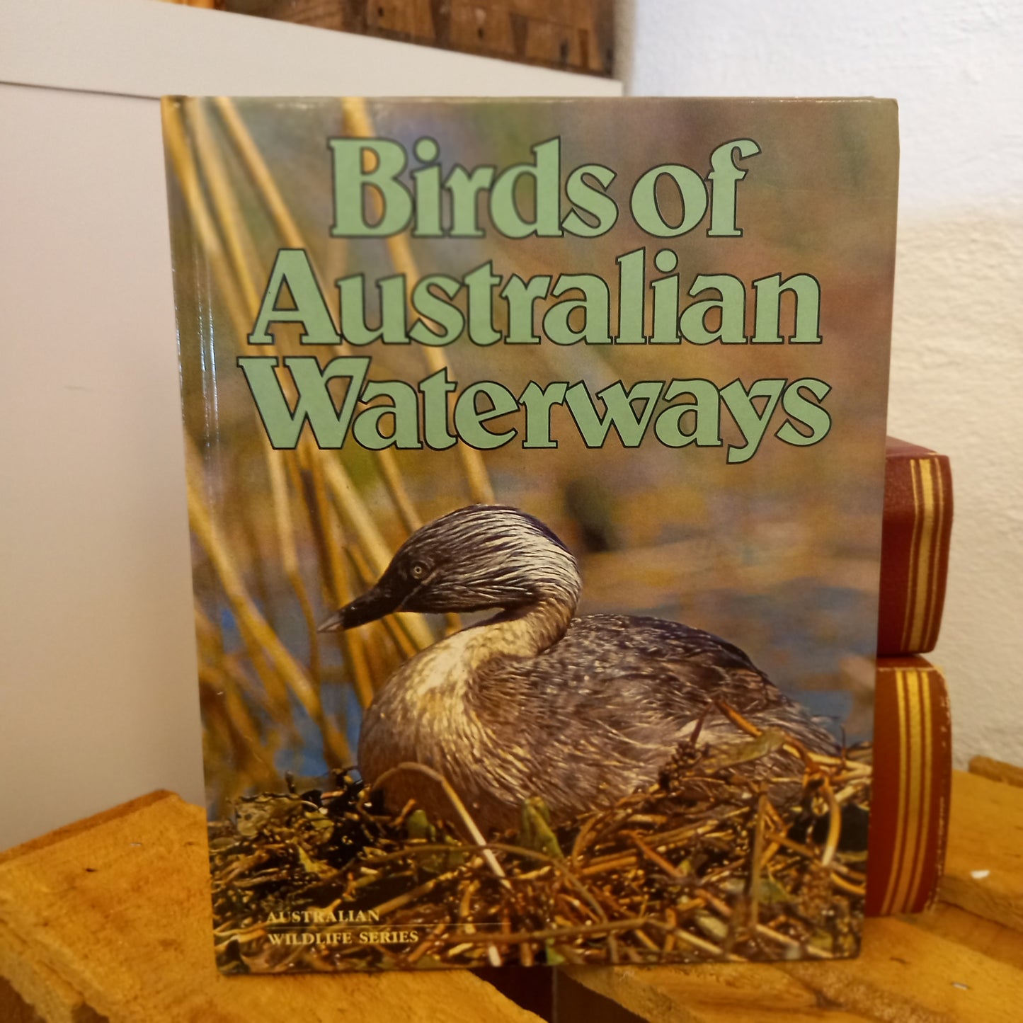 Birds of Australian Waterways – Australian Wildlife Series (Bay Books, 1981) | Vintage Bird Book-Vintage Children's Books / Australian Natural History-Tilbrook and Co