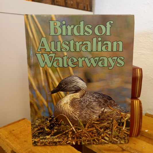 Birds of Australian Waterways – Australian Wildlife Series (Bay Books, 1981) | Vintage Bird Book-Vintage Children's Books / Australian Natural History-Tilbrook and Co