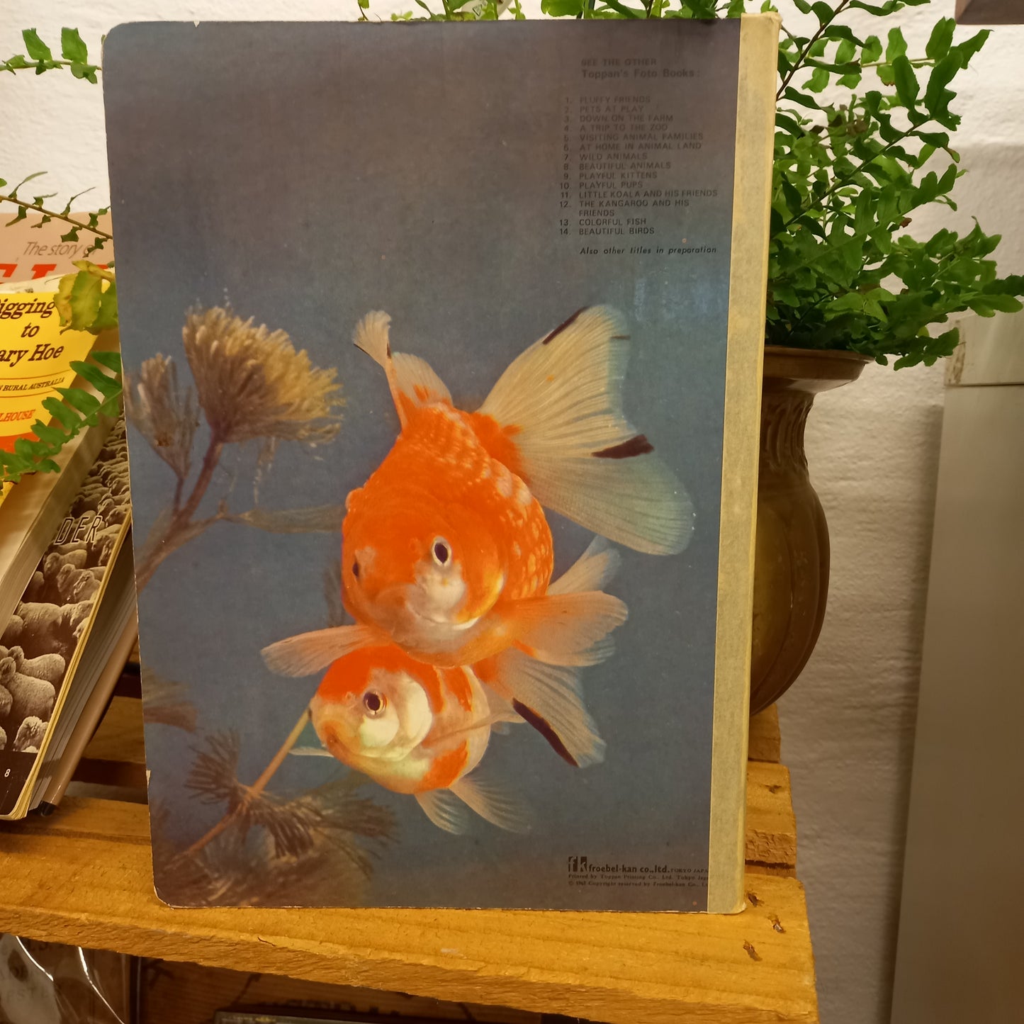 Colorful Fish Toppan's Foto Books-Book-Tilbrook and Co