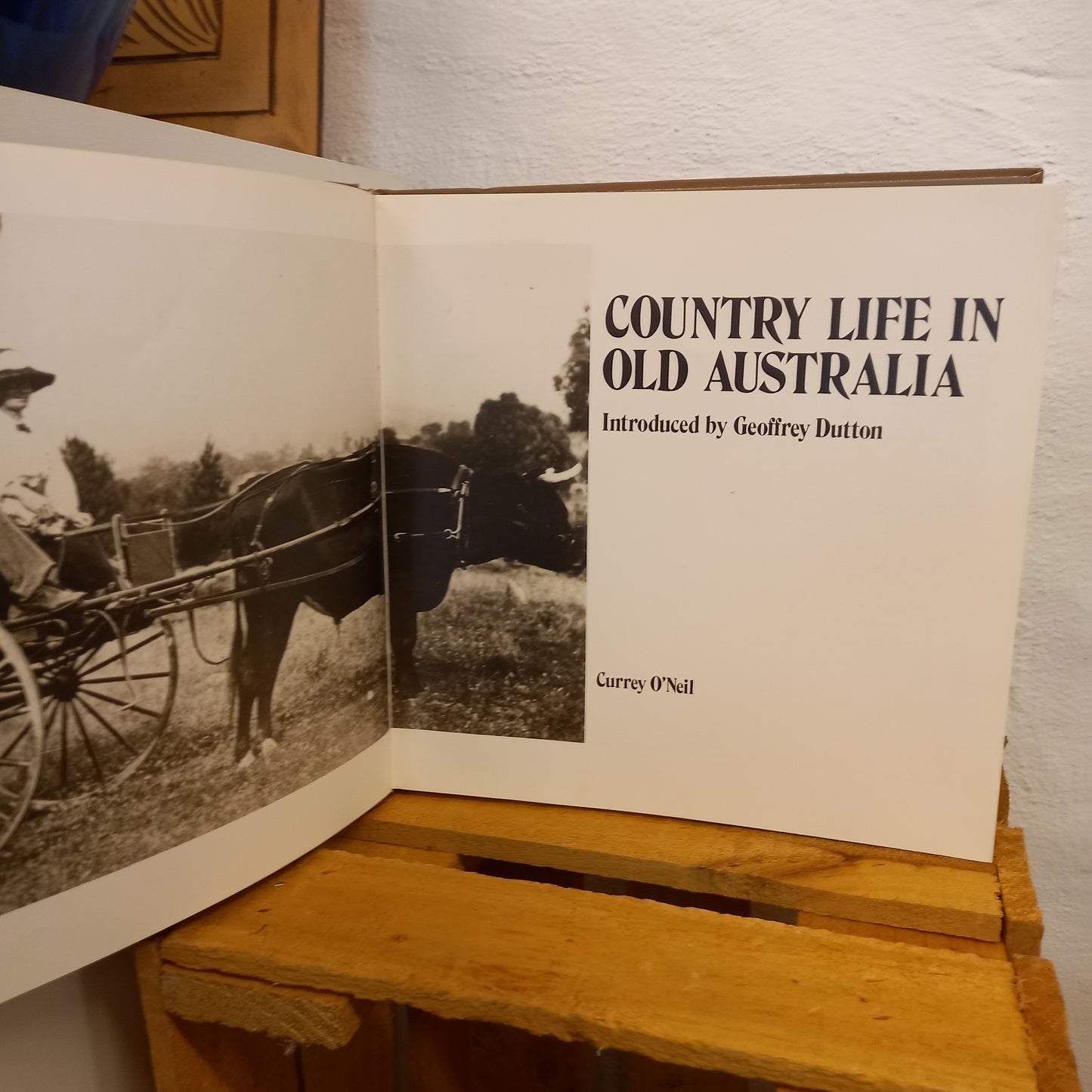 Country life in old Australia Compiled by Geoffrey Dutton-Books-Tilbrook and Co