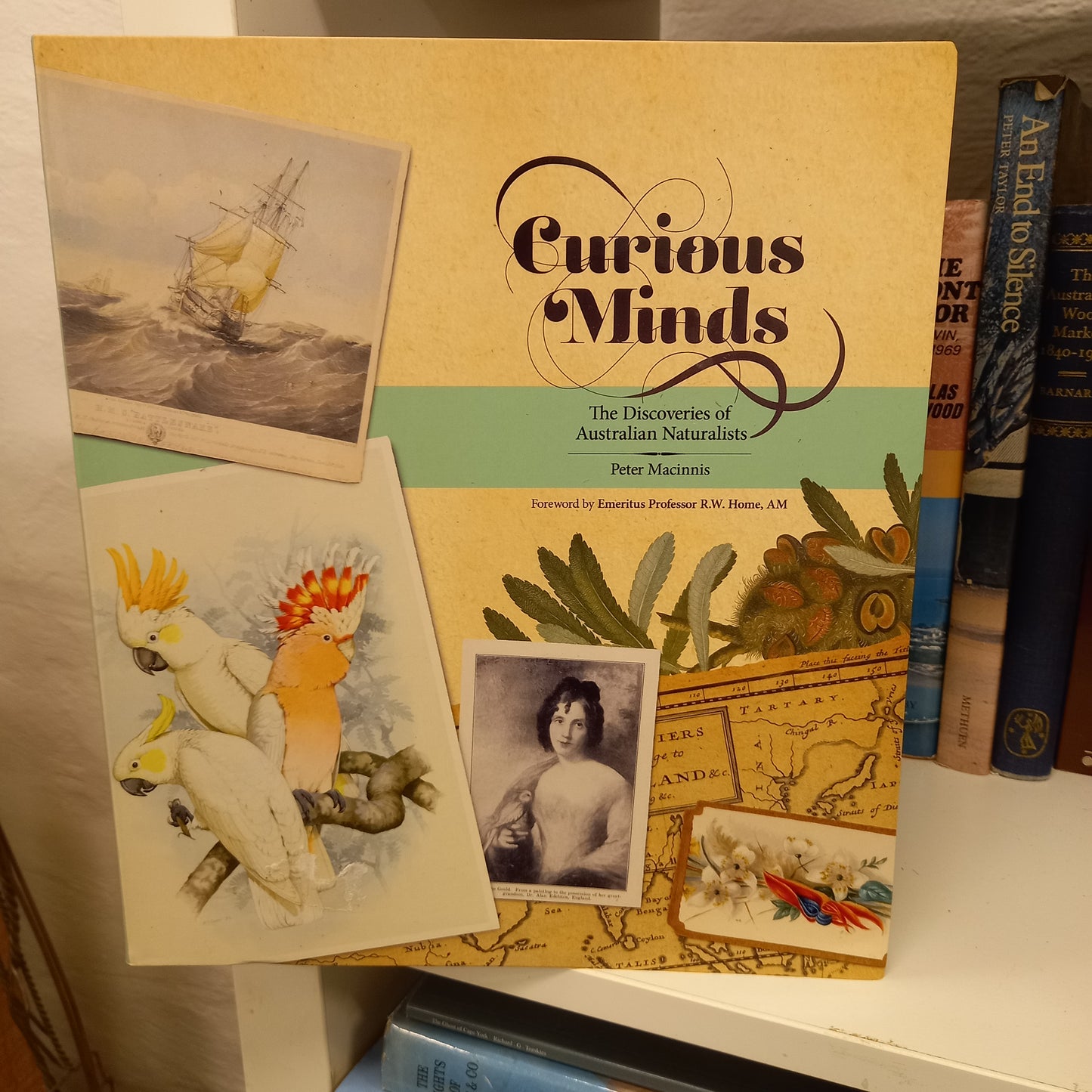 Curious minds the discoveries of Australian naturalists by Peter Macinnis-Books-Tilbrook and Co