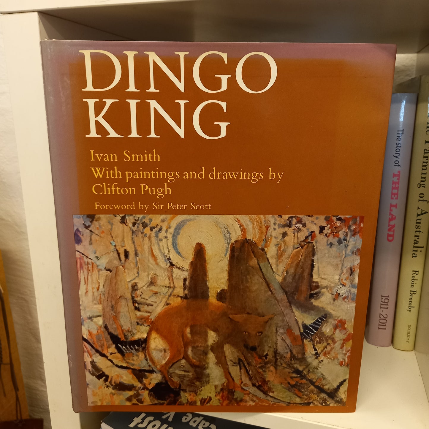 Dingo king by Ivan Smith-Books-Tilbrook and Co