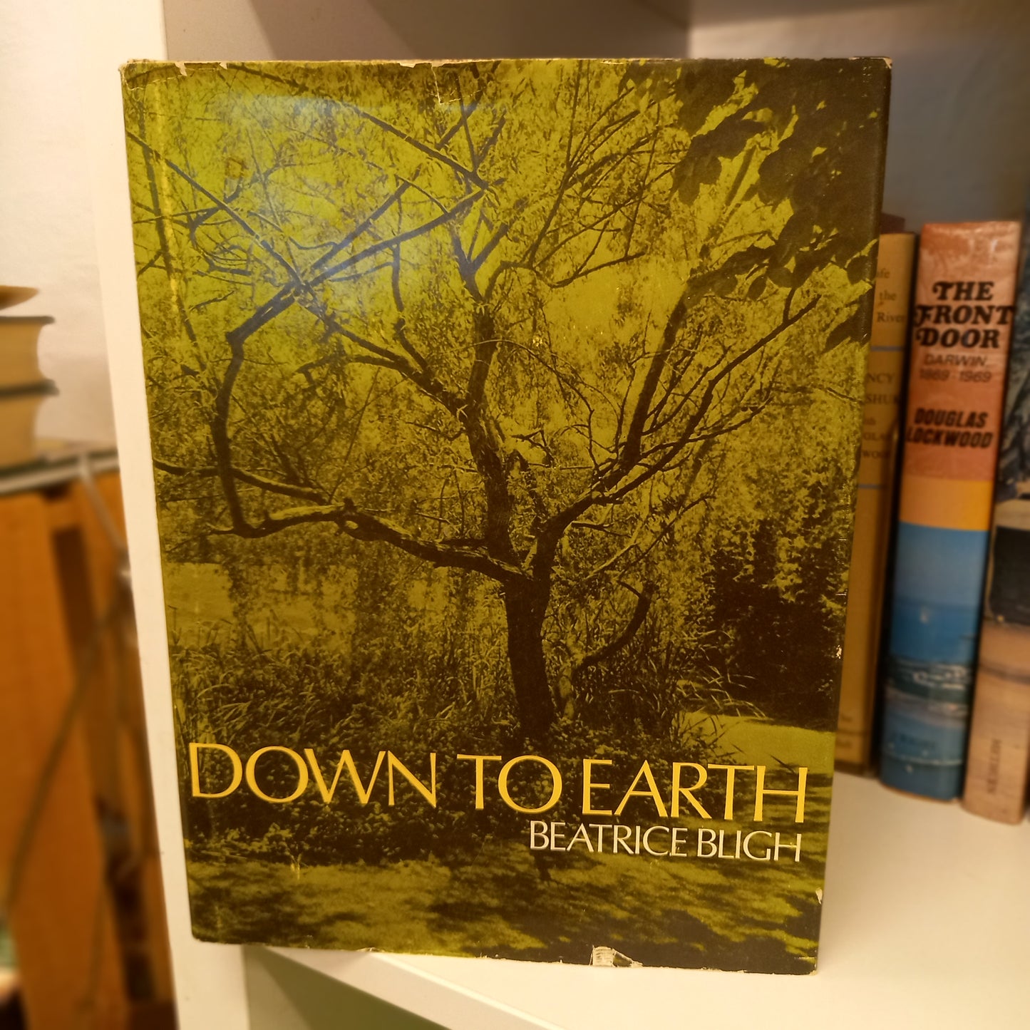 Down To Earth by Beatrice Bligh-Books-Tilbrook and Co