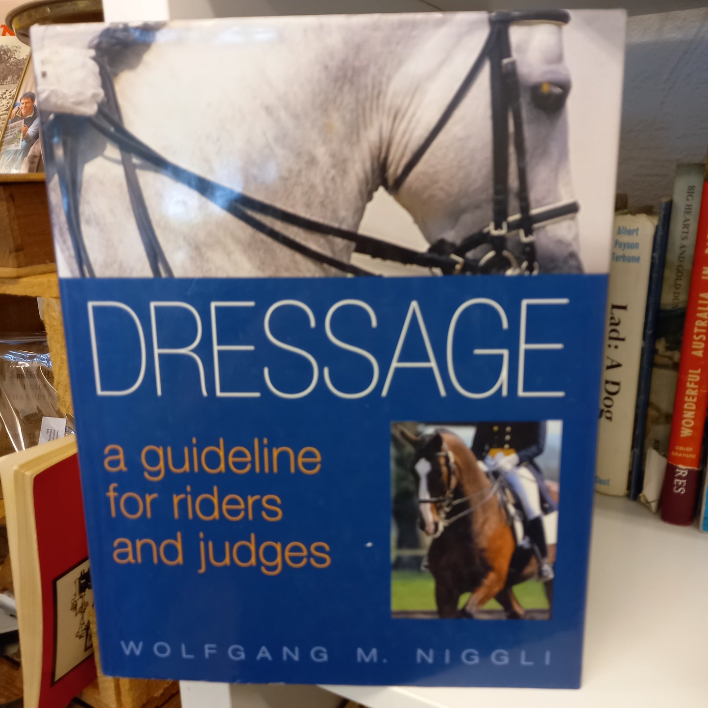Dressage: A Guideline for Riders and Judges by Wolfgang Niggli-Book-Tilbrook and Co
