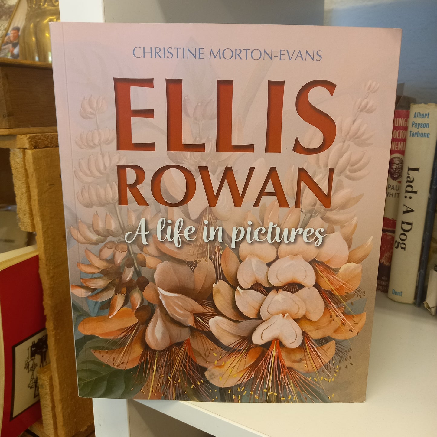 Ellis Rowan: A Life In Pictures by Christine Morton-Evans-Book-Tilbrook and Co