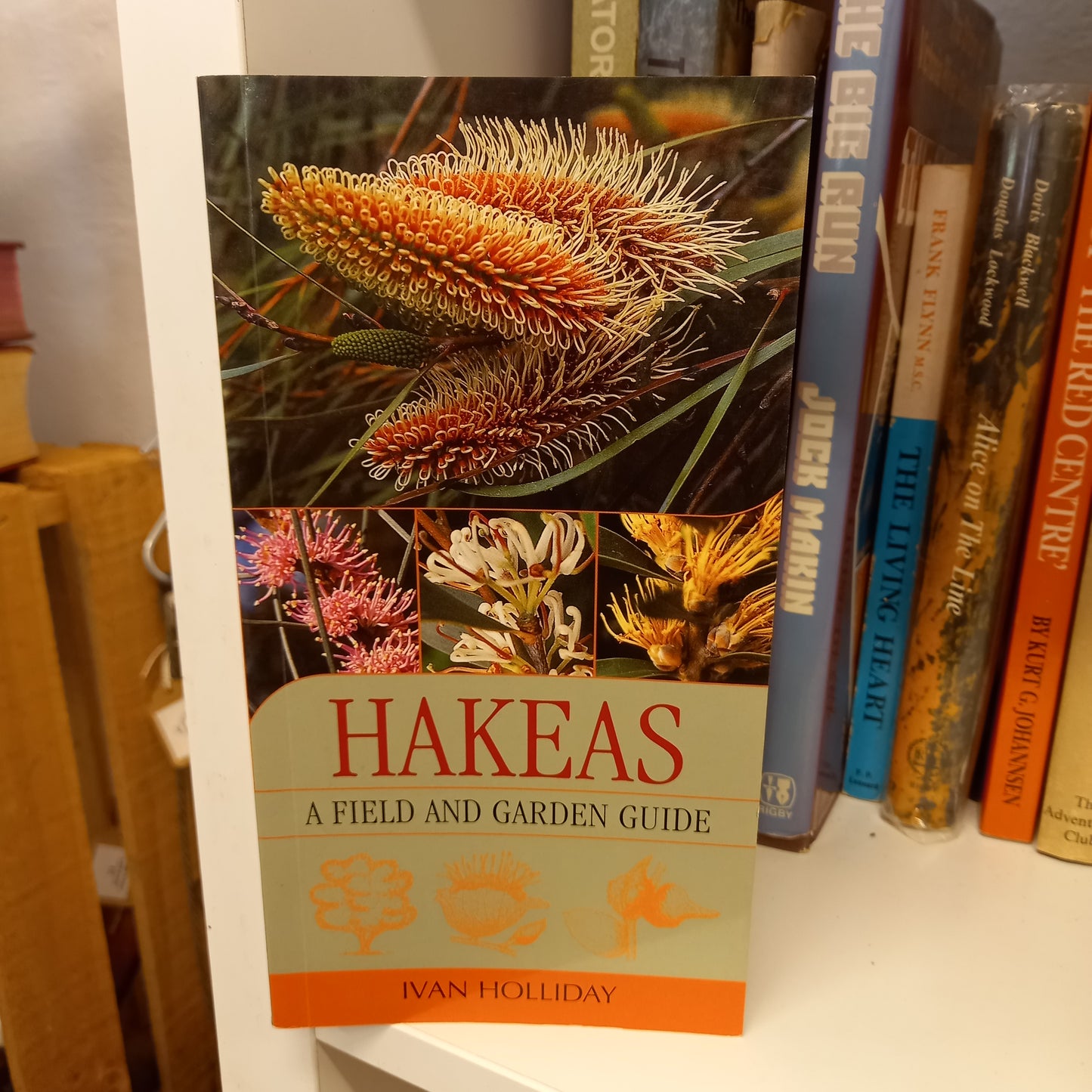 Hakeas: A Field and Garden Guide – Ivan Holliday (2005, New Holland)-Book - Native Plant Field Guide / Australian Gardening Reference / Botanical Handbook-Tilbrook and Co