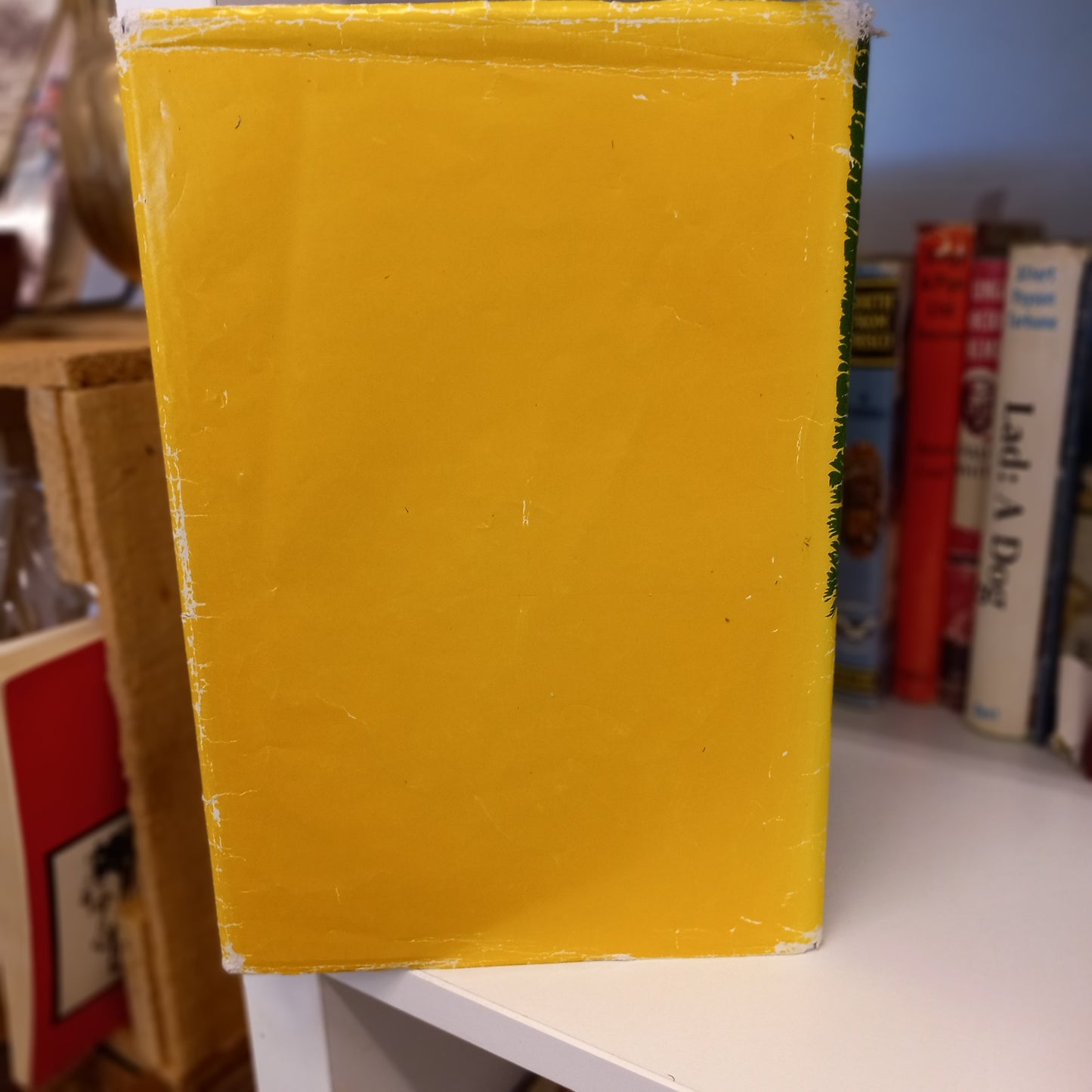 Heritage of Pines A History of the Town of Cottesloe Western Australia by Ruth Marchant James-Books-Tilbrook and Co