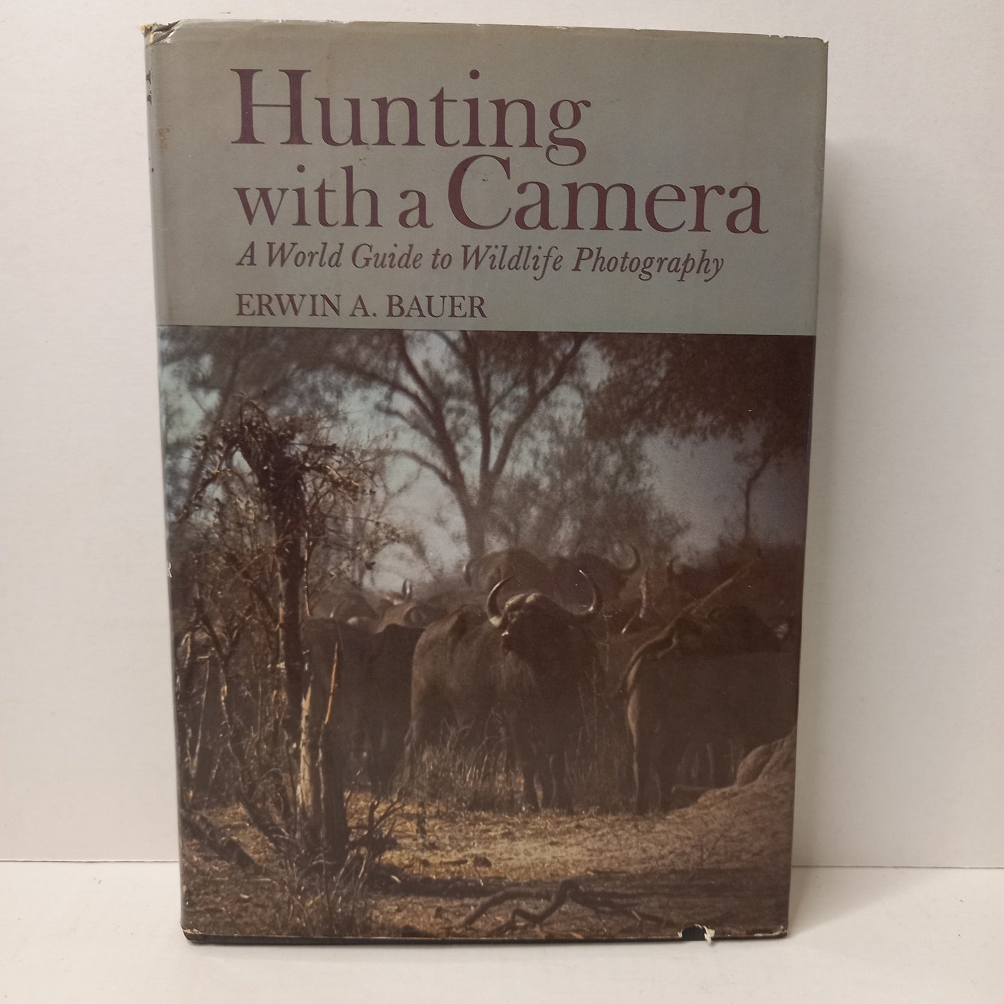 Hunting With a Camera: A World Guide to Wildlife Photography by Erwin A Bauer-Book-Tilbrook and Co