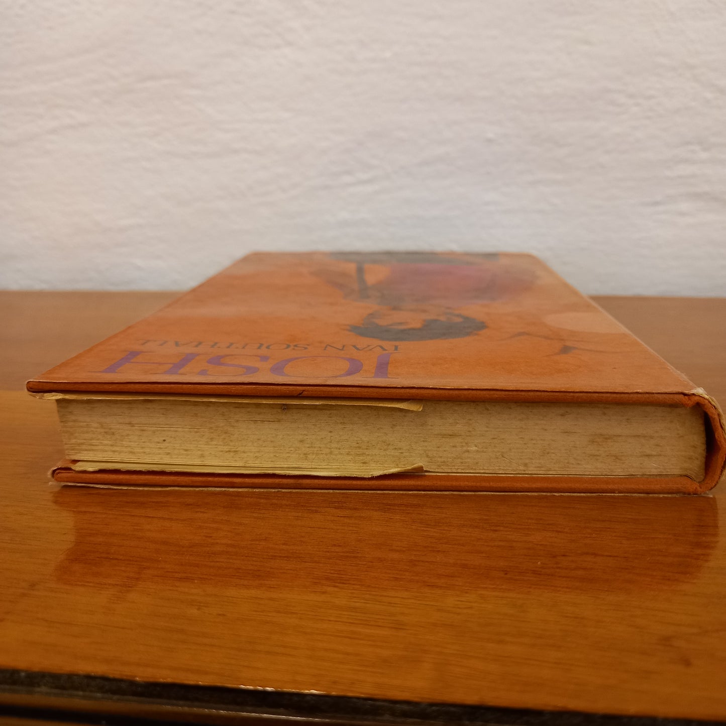 Josh by Ivan Southall-Book-Tilbrook and Co