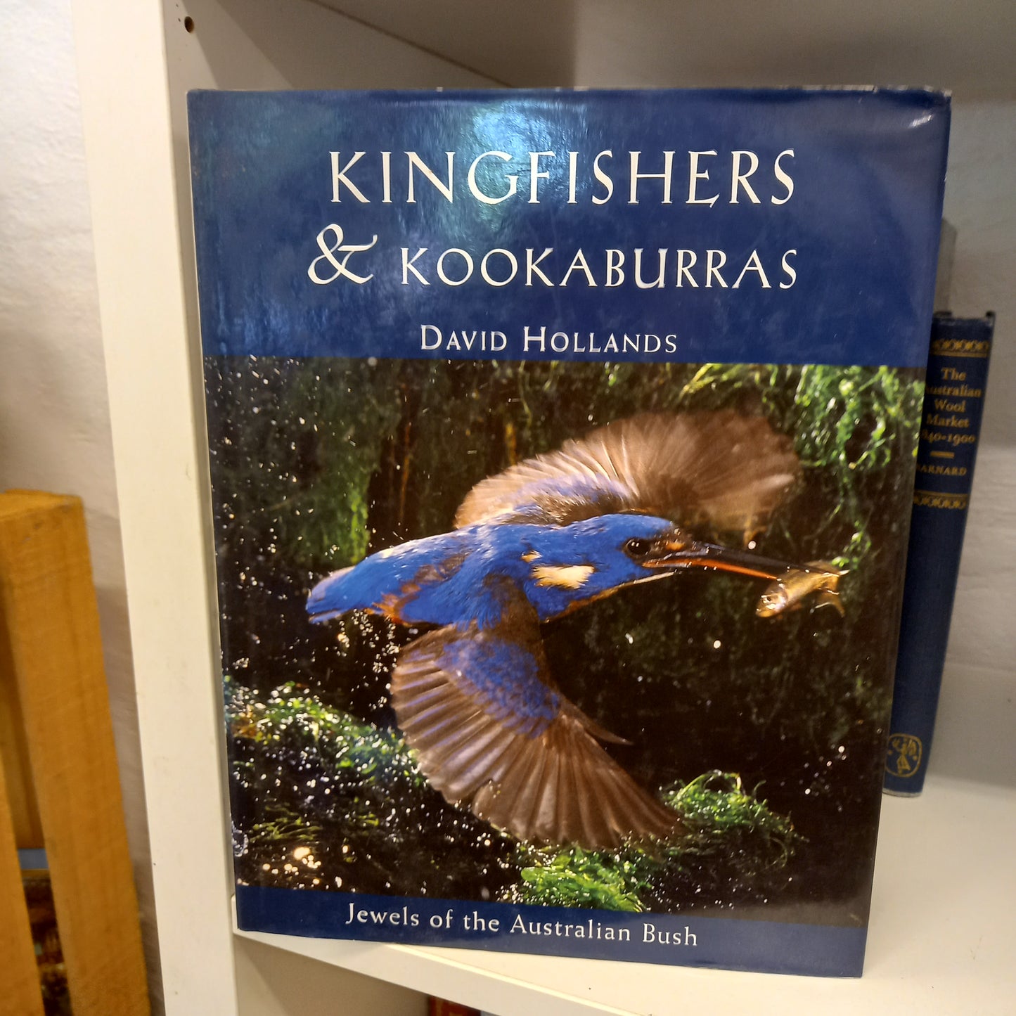 Kingfishers & Kookaburras: Jewels of the Australian Bush by David Hollands-Books-Tilbrook and Co