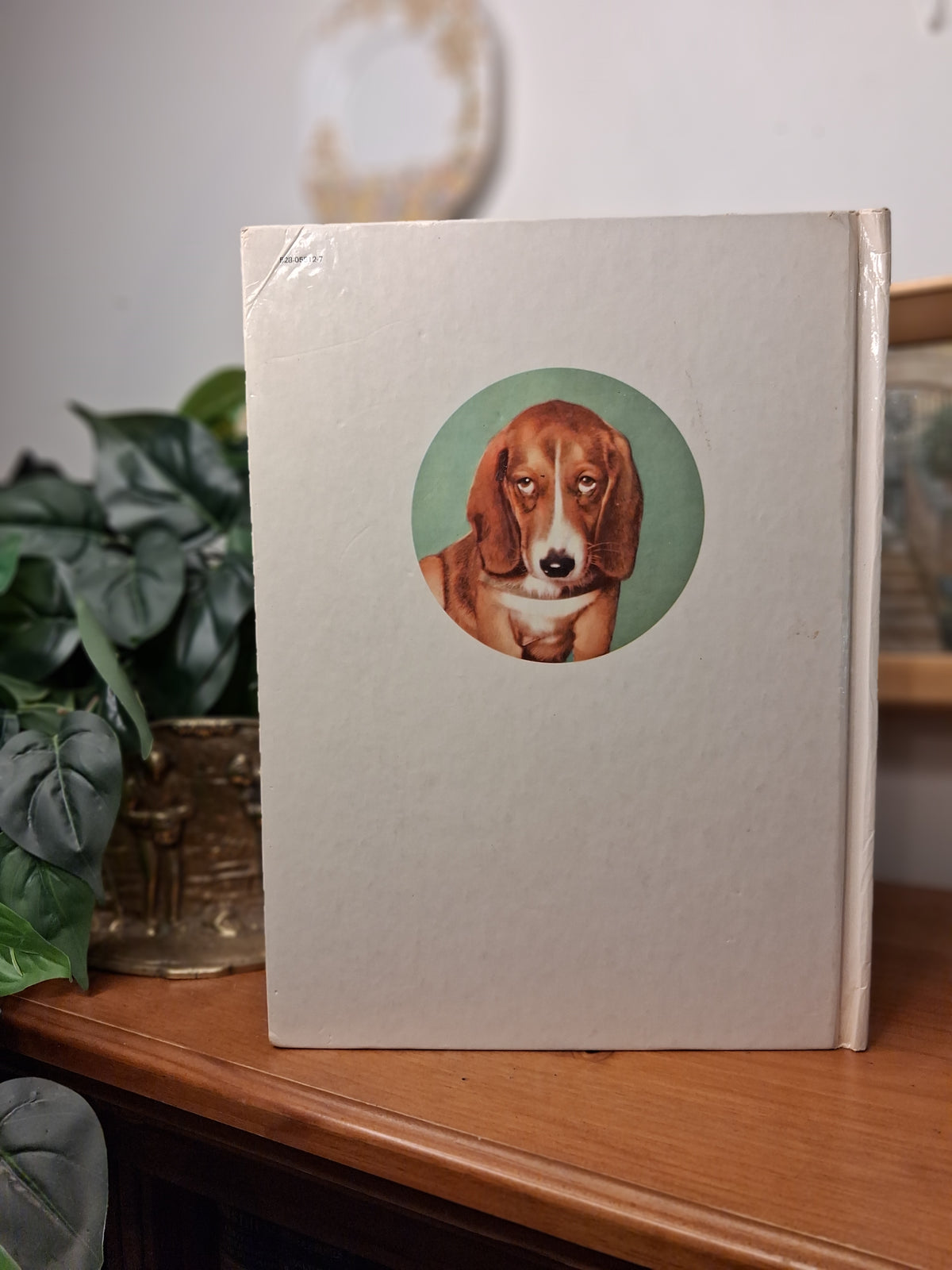 Kittens and Puppies: A Real Live Animal Book by Peggy Burrows-Vintage Children’s Book / Animal Book / Picture Book-Tilbrook and Co