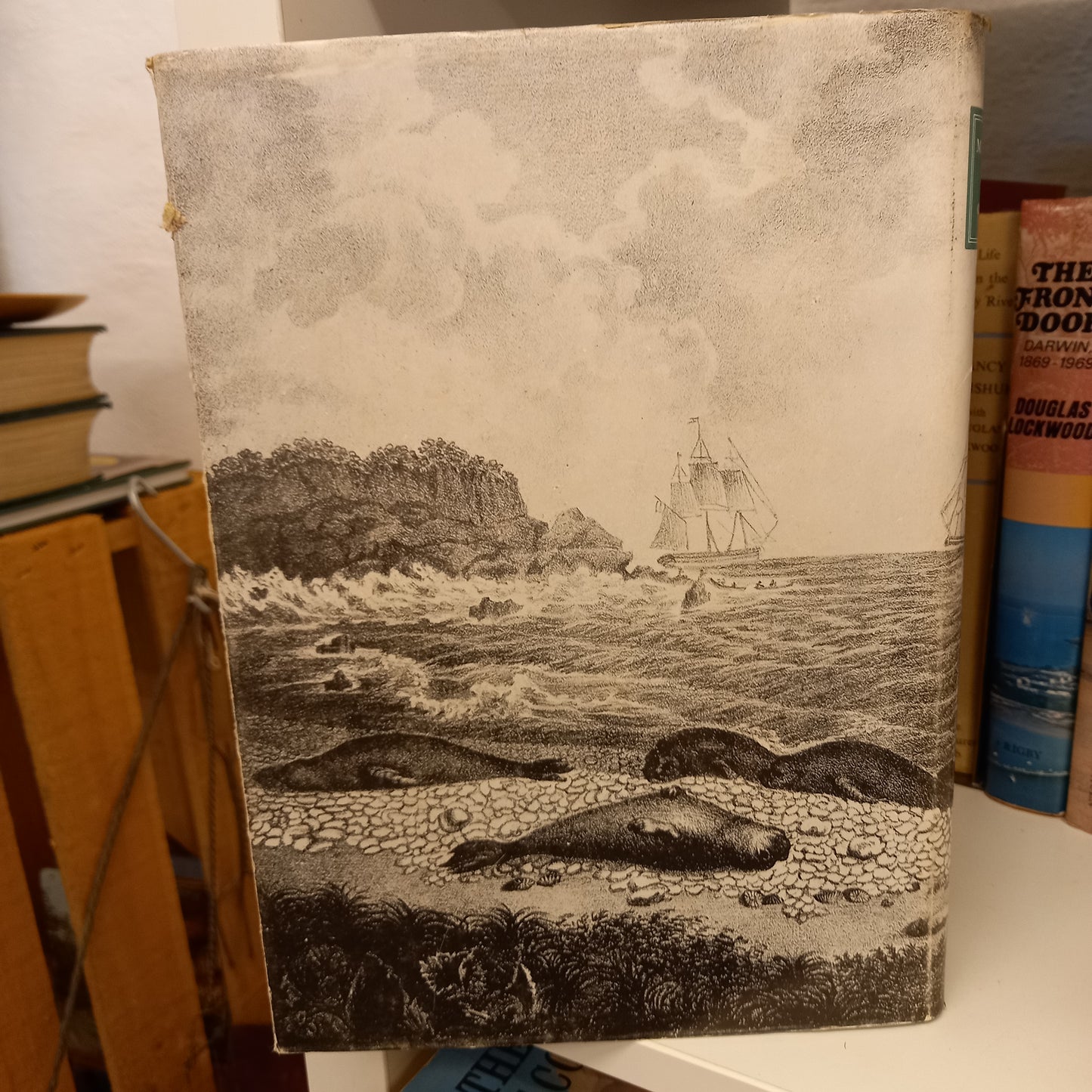 Macquarie Island by J. S. Cumpston-Books-Tilbrook and Co