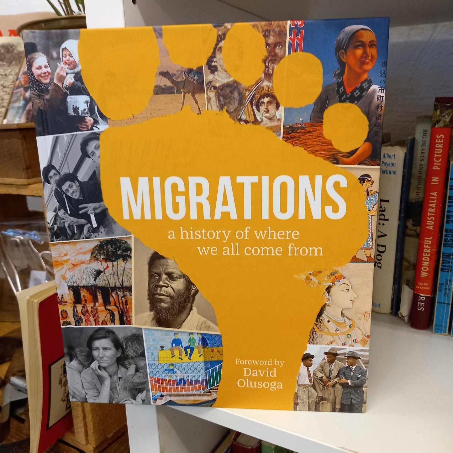 Migrations: A History of Where We All Came From-Book-Tilbrook and Co