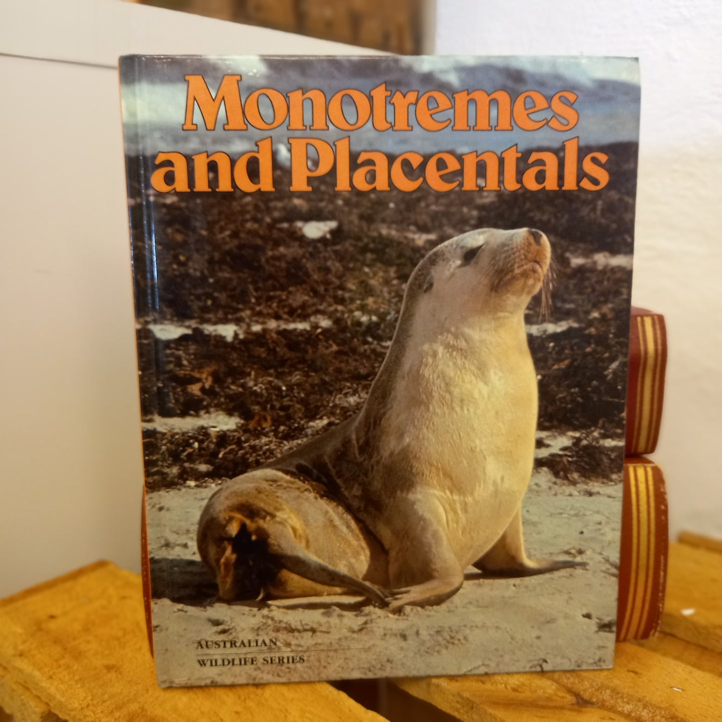 Monotremes and Placentals – Australian Wildlife Series (Bay Books, 1981)-Vintage Children's Books / Australian Natural History-Tilbrook and Co