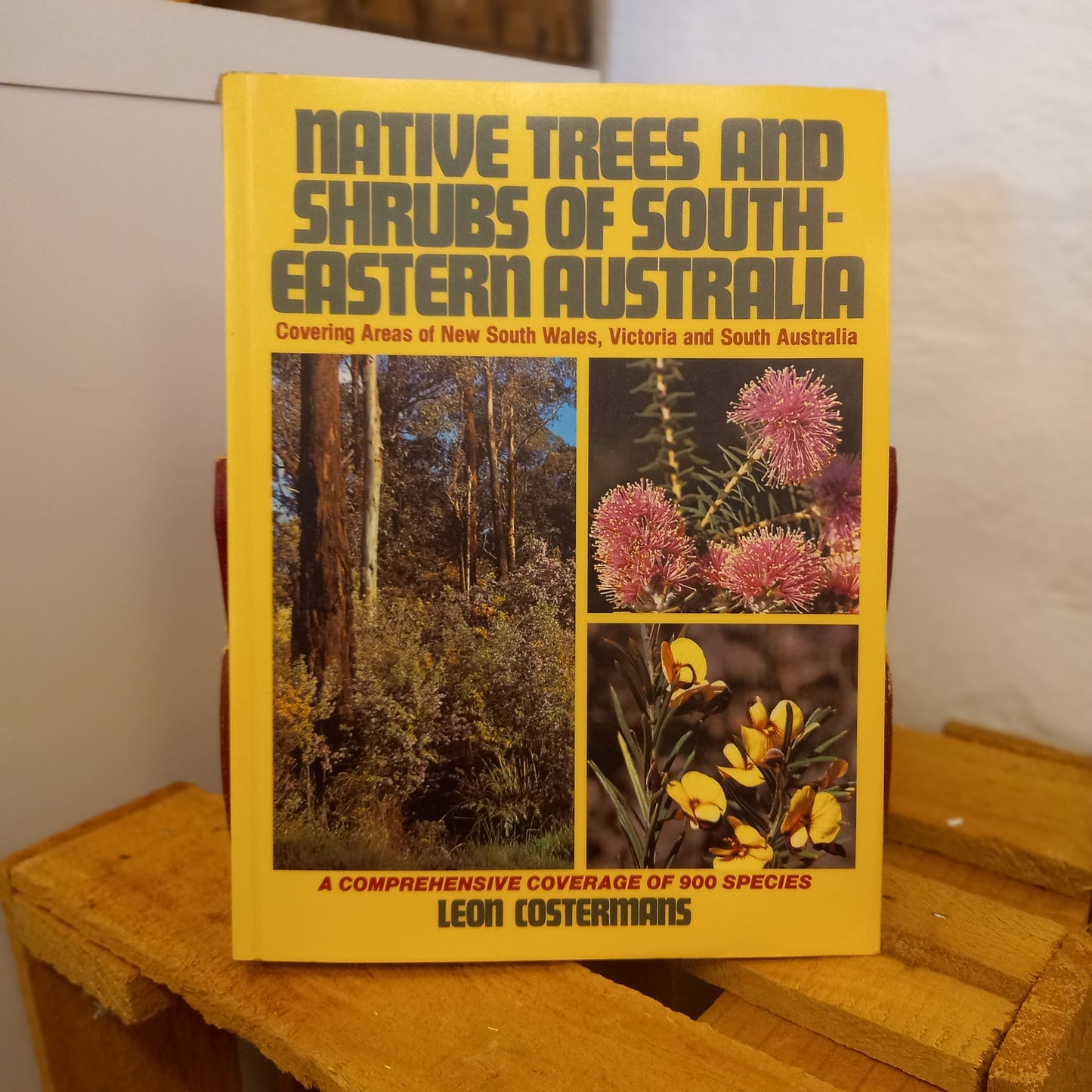 Native Trees and Shrubs of South-Eastern Australia by Leon Costermans (2008)-Field Guide / Botanical Reference-Tilbrook and Co
