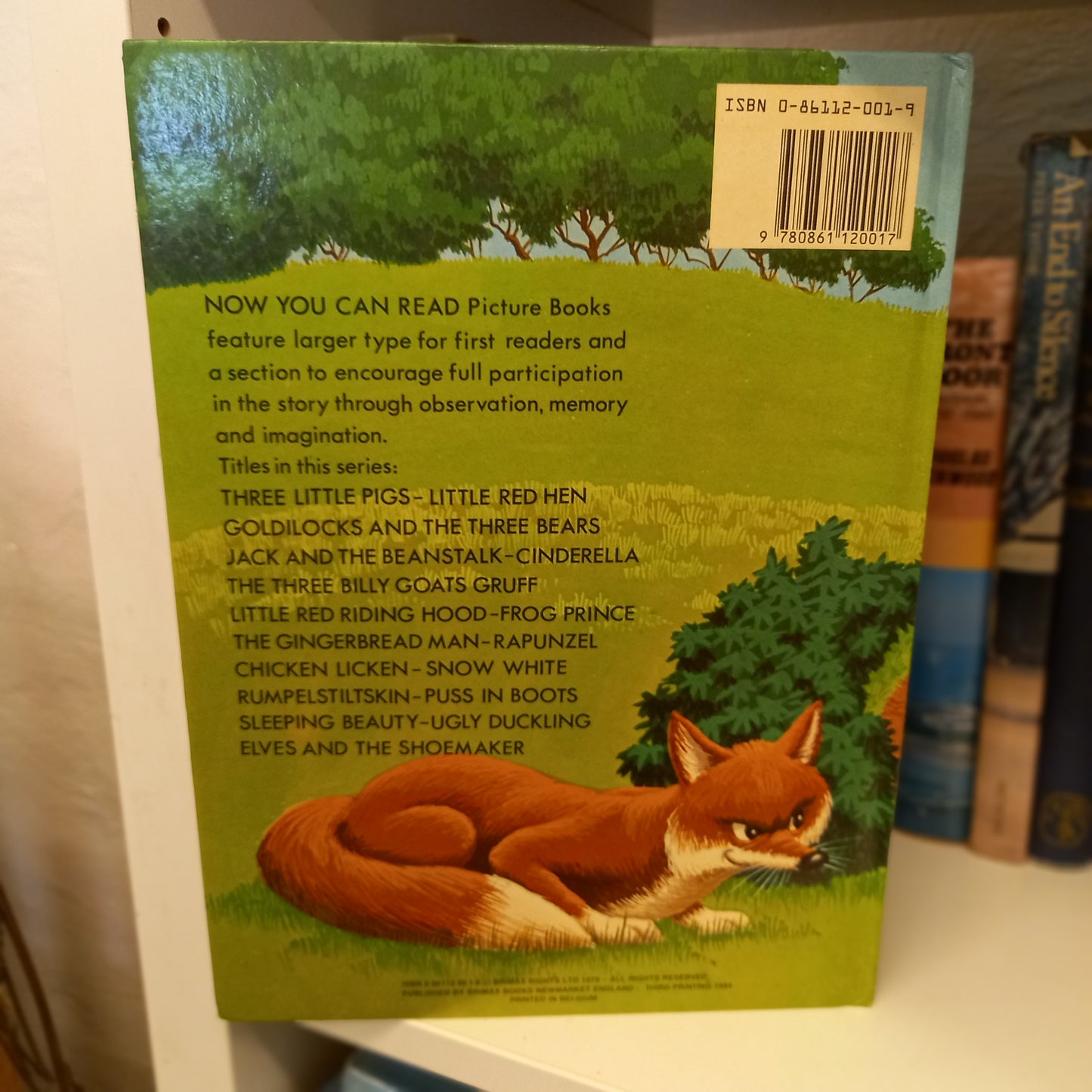 Now You Can Read Chicken Licken-Book-Tilbrook and Co