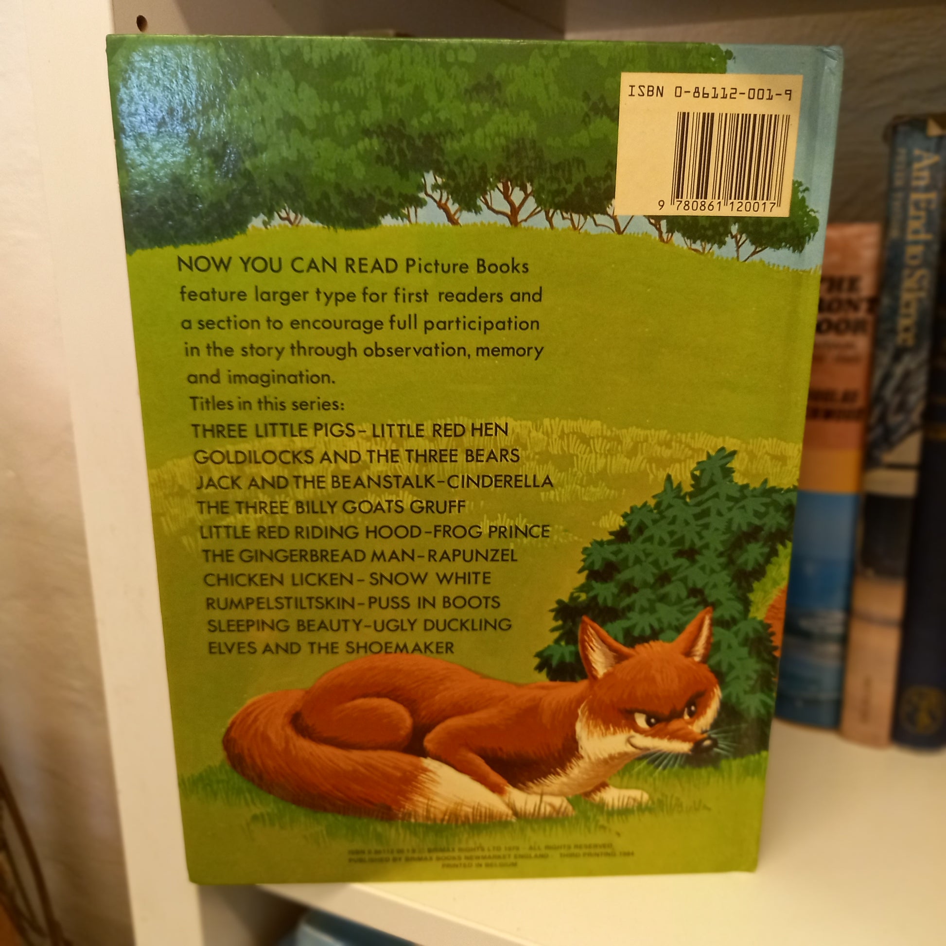 Now You Can Read Chicken Licken-Book-Tilbrook and Co