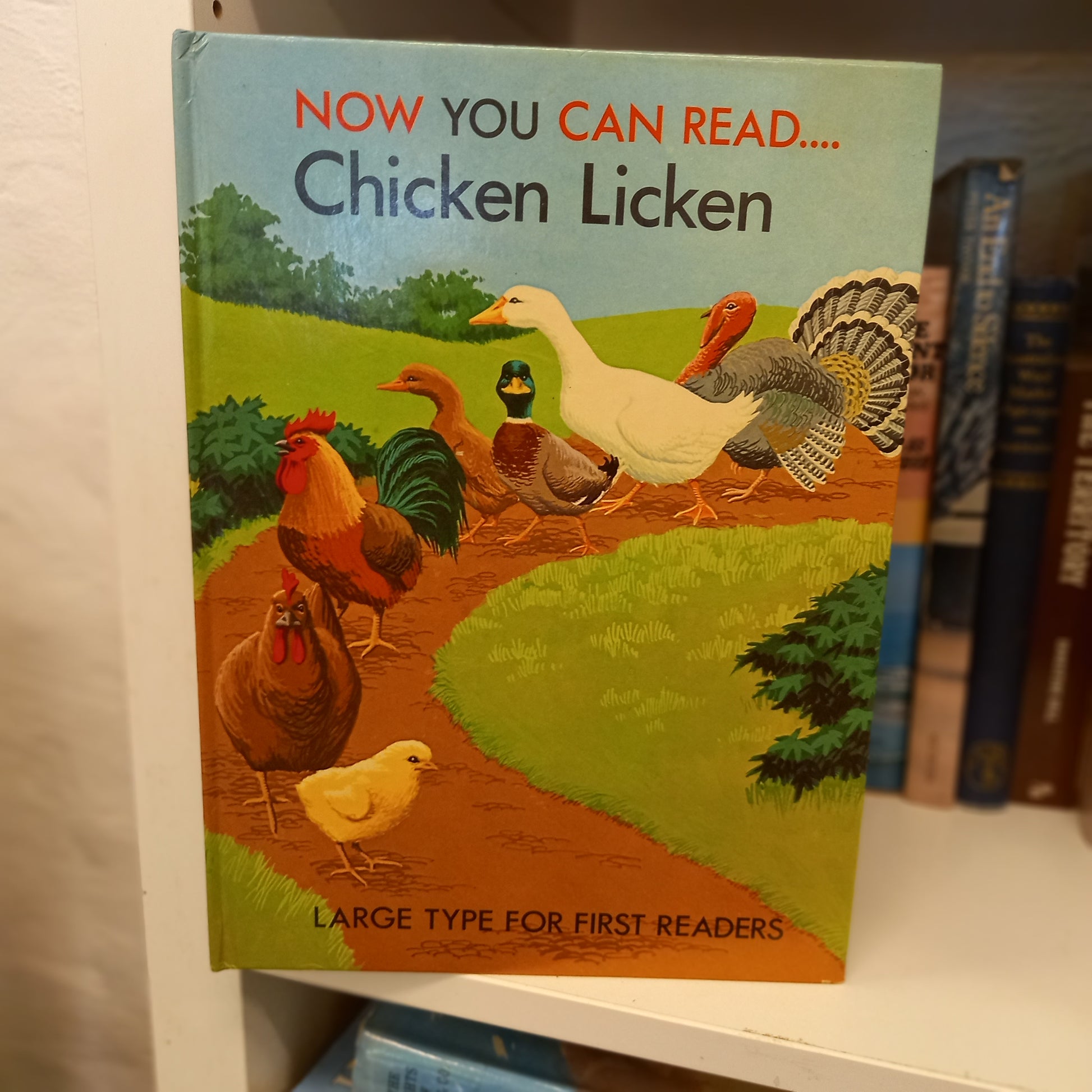 Now You Can Read Chicken Licken-Book-Tilbrook and Co