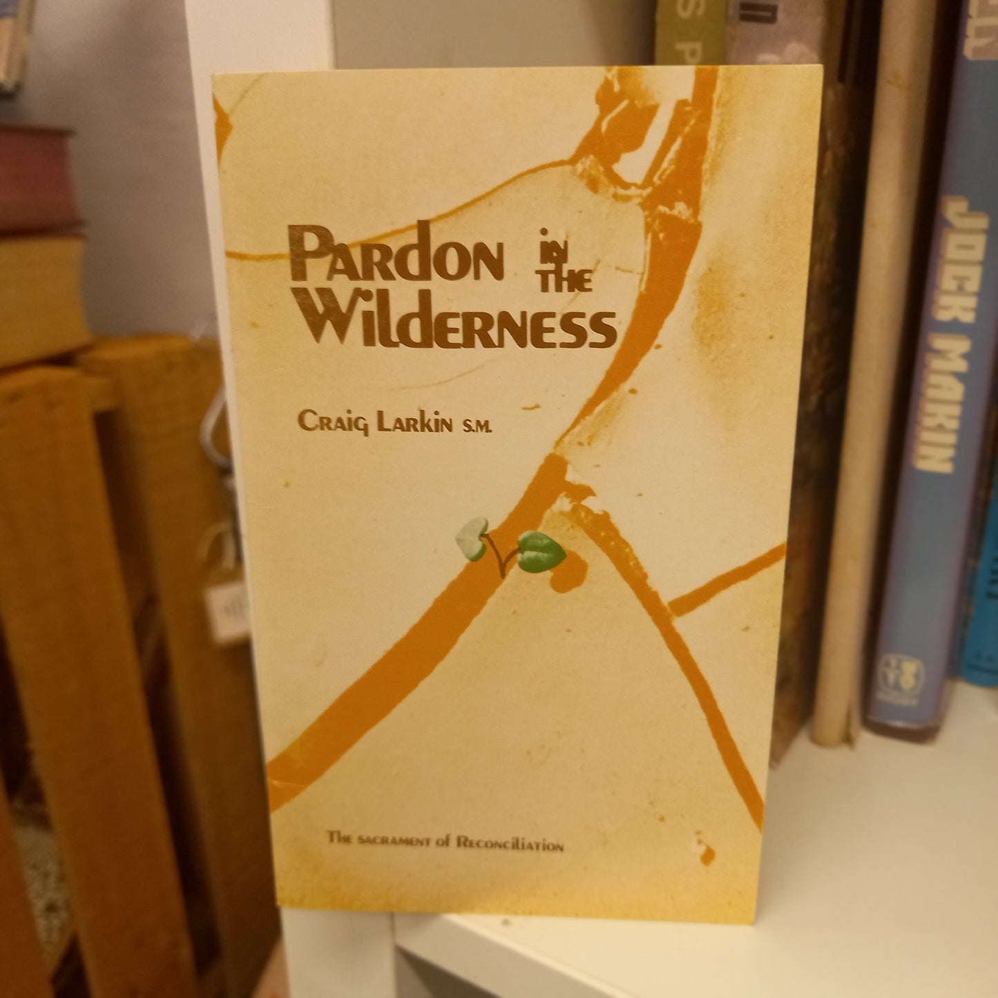 Pardon in the wilderness the sacrament of reconciliation by Craig Larkin S.M-Books-Tilbrook and Co