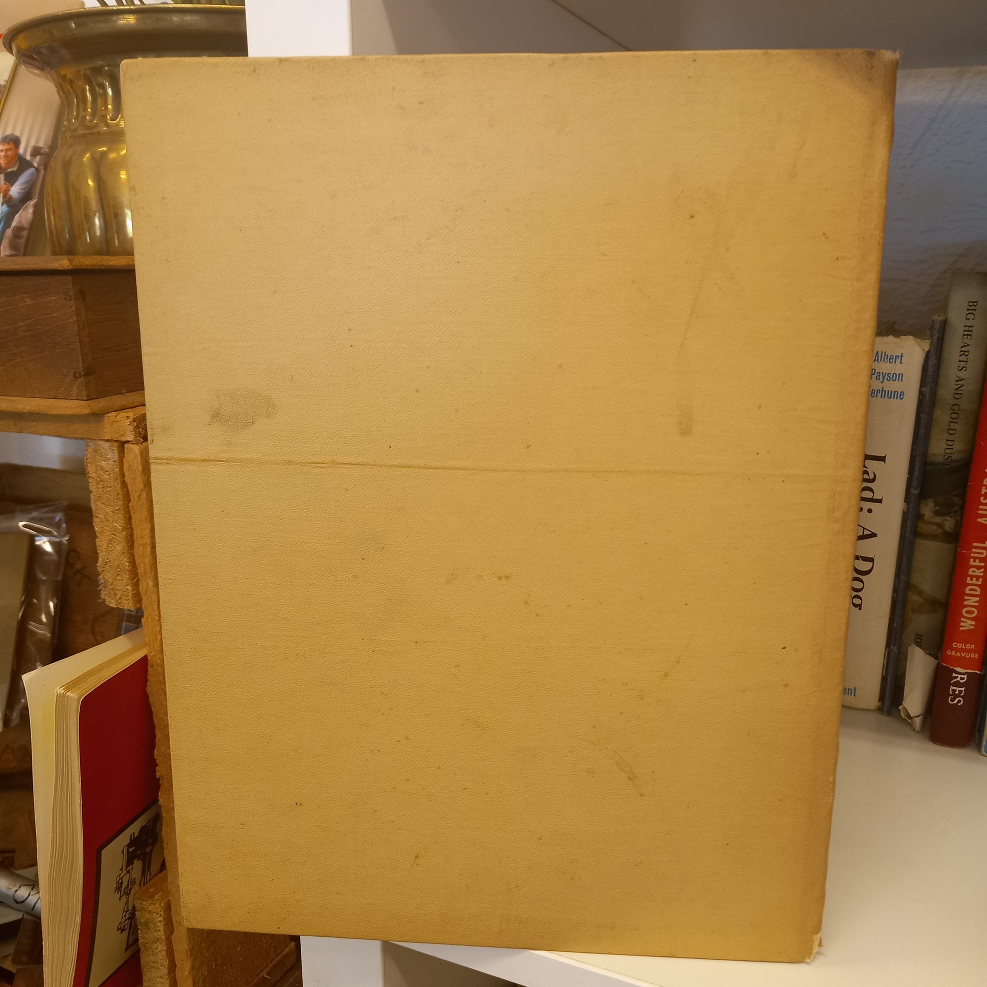Presbyterian Ladies' College, Croydon 1888-1948-Book-Tilbrook and Co