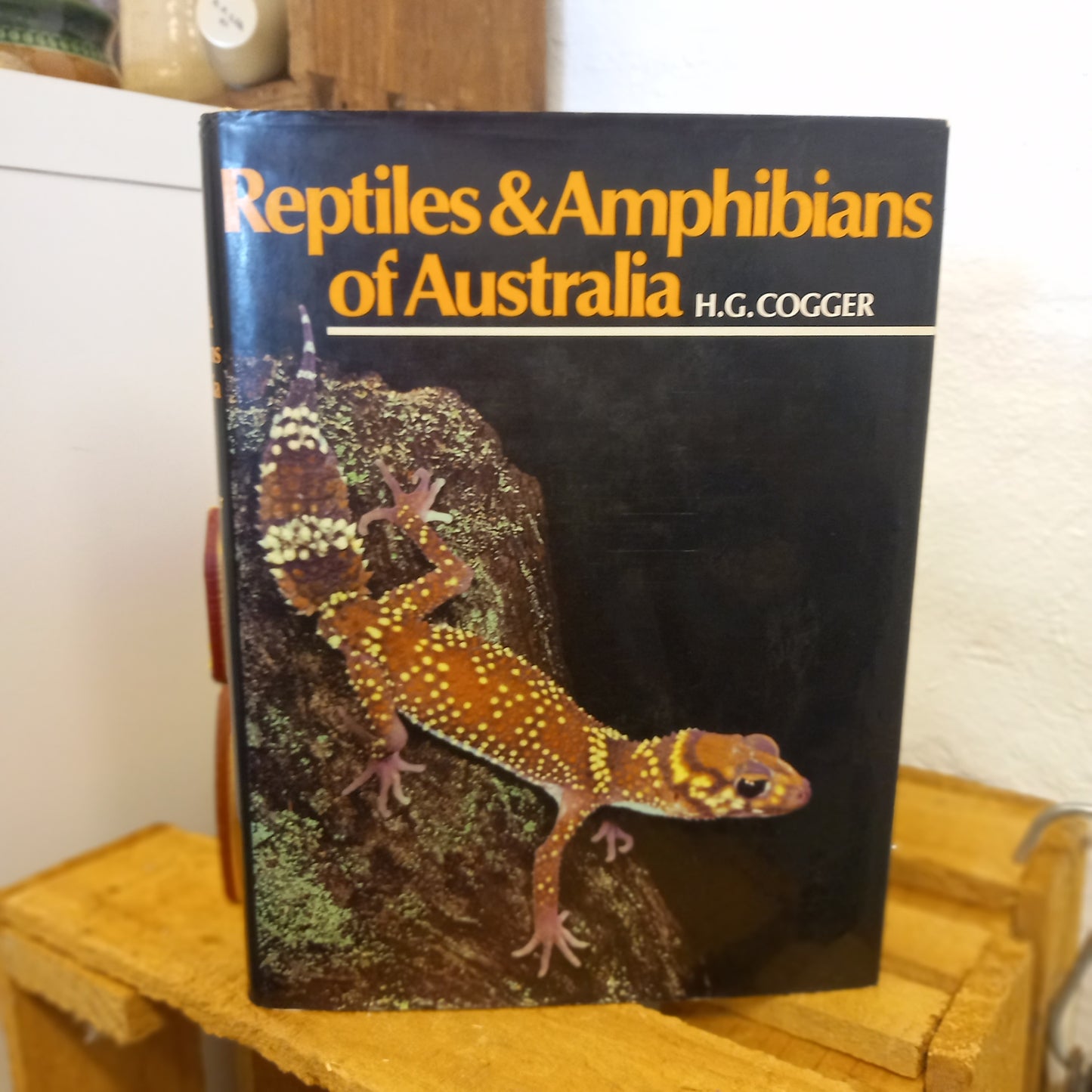 Reptiles and Amphibians of Australia-Book - Natural History-Tilbrook and Co