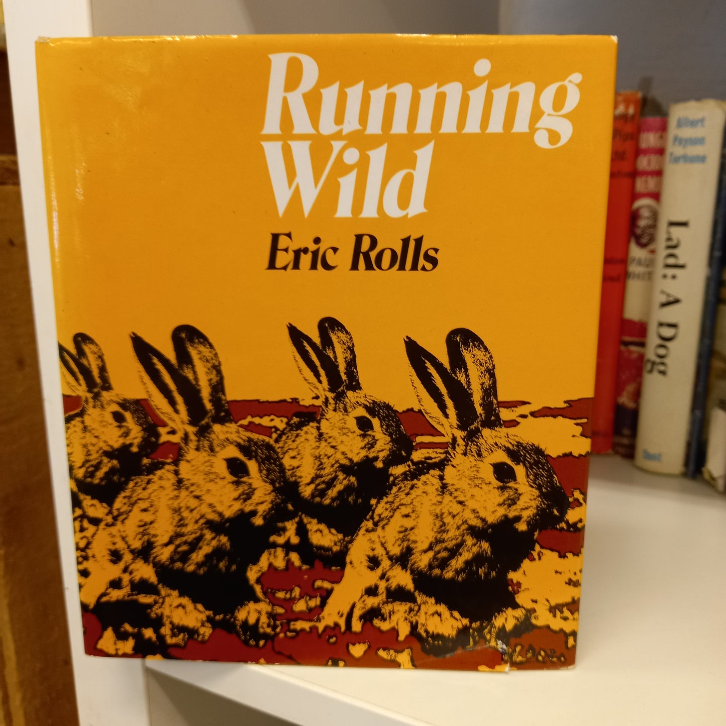 Running wild by Eric C Rolls-Book-Tilbrook and Co