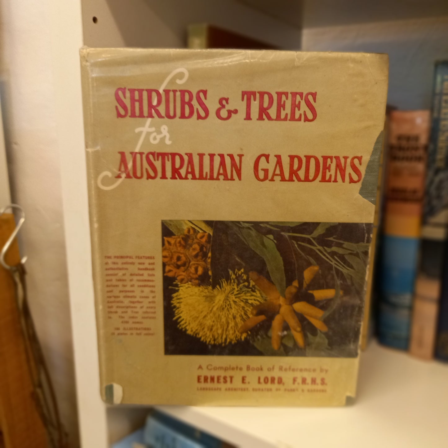 Shrubs and trees for Australian gardens by Ernest E. Lord-Book-Tilbrook and Co