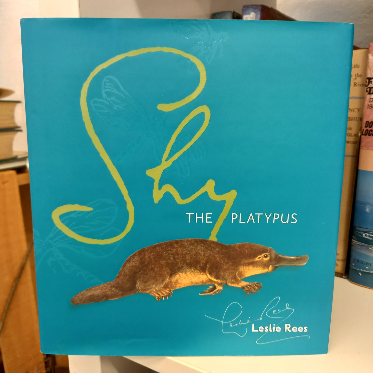 Shy the Platypus by Leslie Rees-Books-Tilbrook and Co
