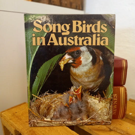 Song Birds in Australia – Australian Wildlife Series (Bay Books, 1981) | Vintage Nature Book-Vintage Children's Books / Australian Natural History-Tilbrook and Co