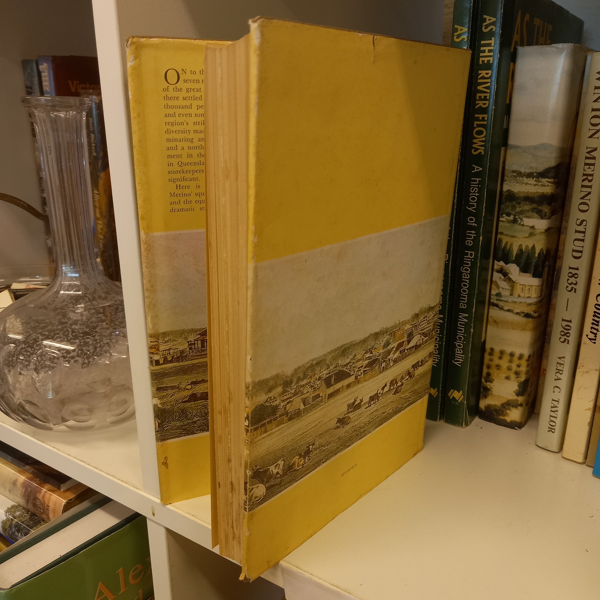 Squatter, selector and storekeeper a history of the Darling Downs, 1859-93 by D.B. Waterson-Books-Tilbrook and Co