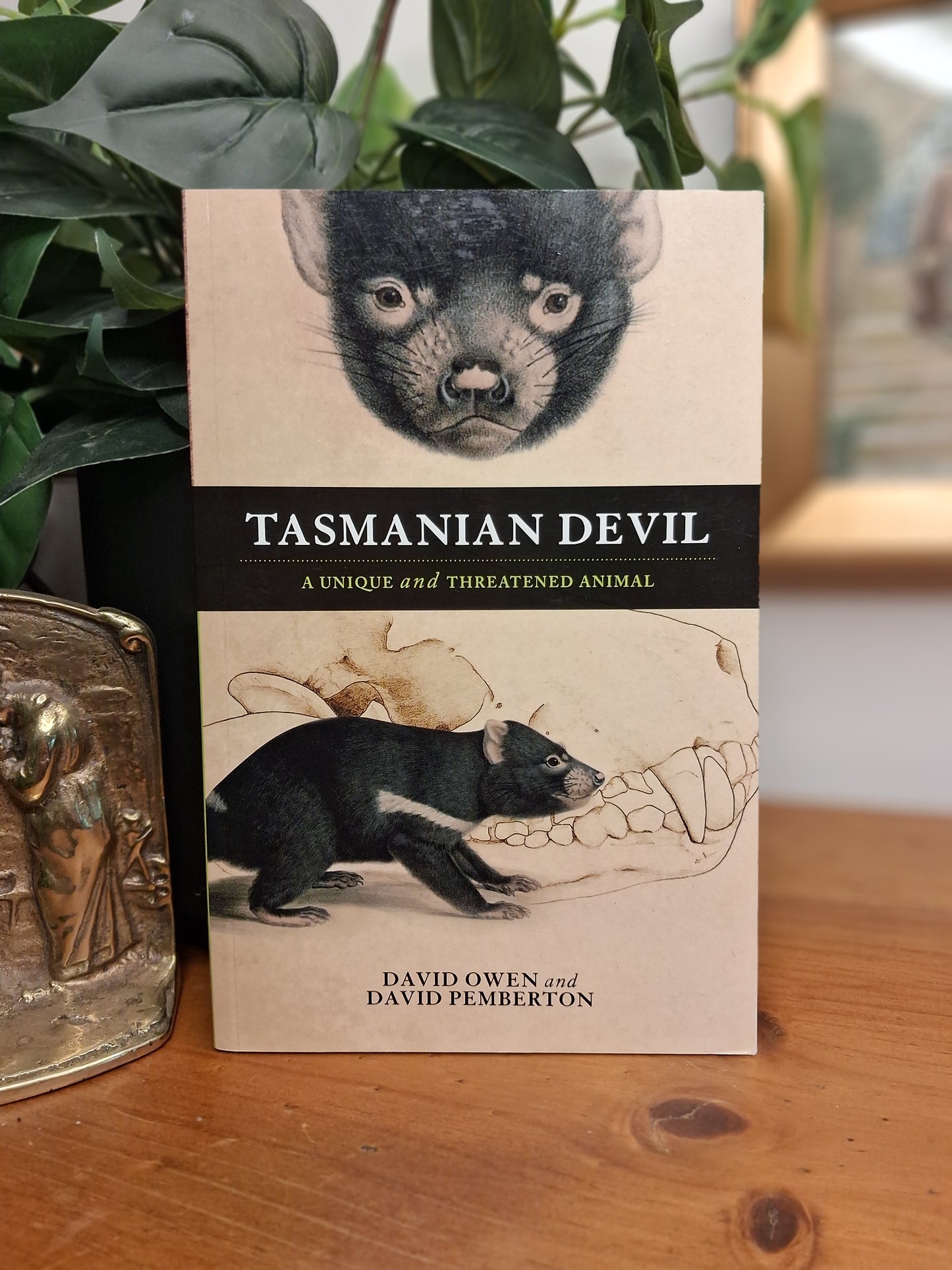 Tasmanian Devil: A Unique and Threatened Animal by David Owen and David Pemberton, 2011 Allen & Unwin softcover wildlife book.