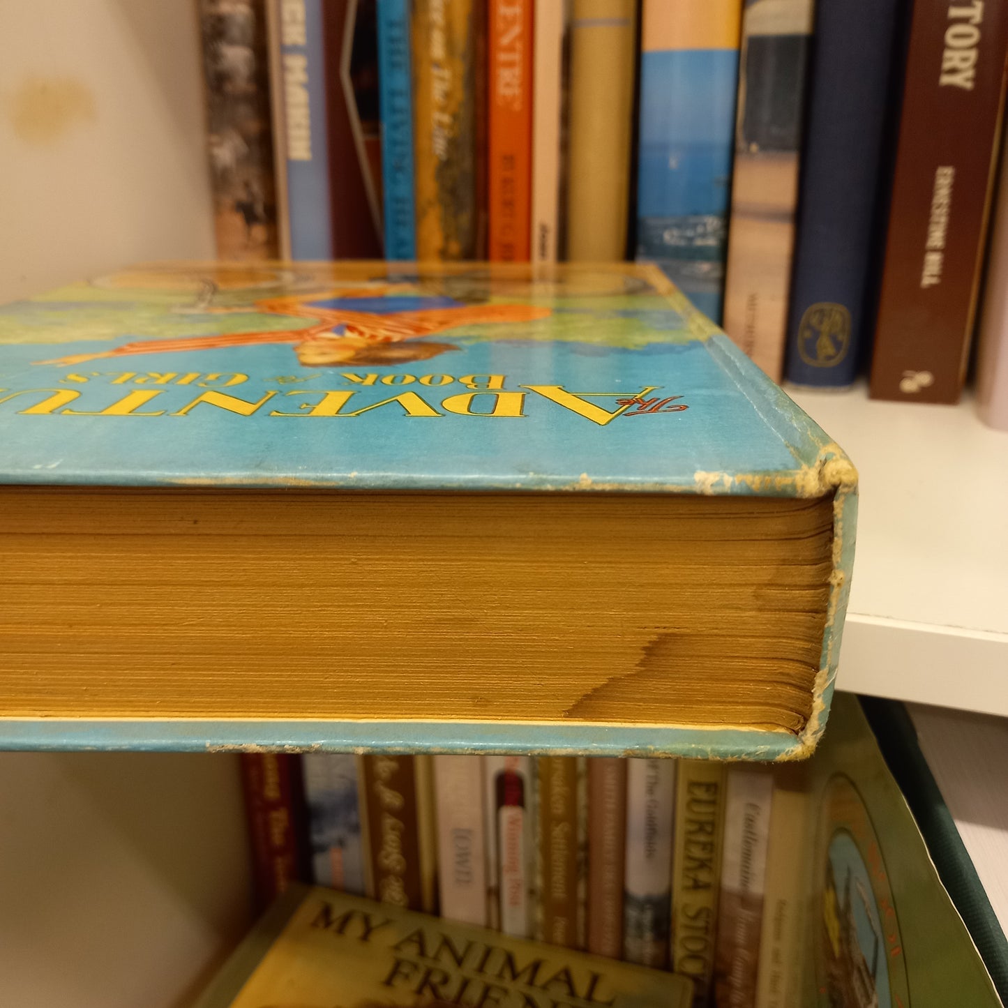 The Adventure Book for Girls-Books-Tilbrook and Co