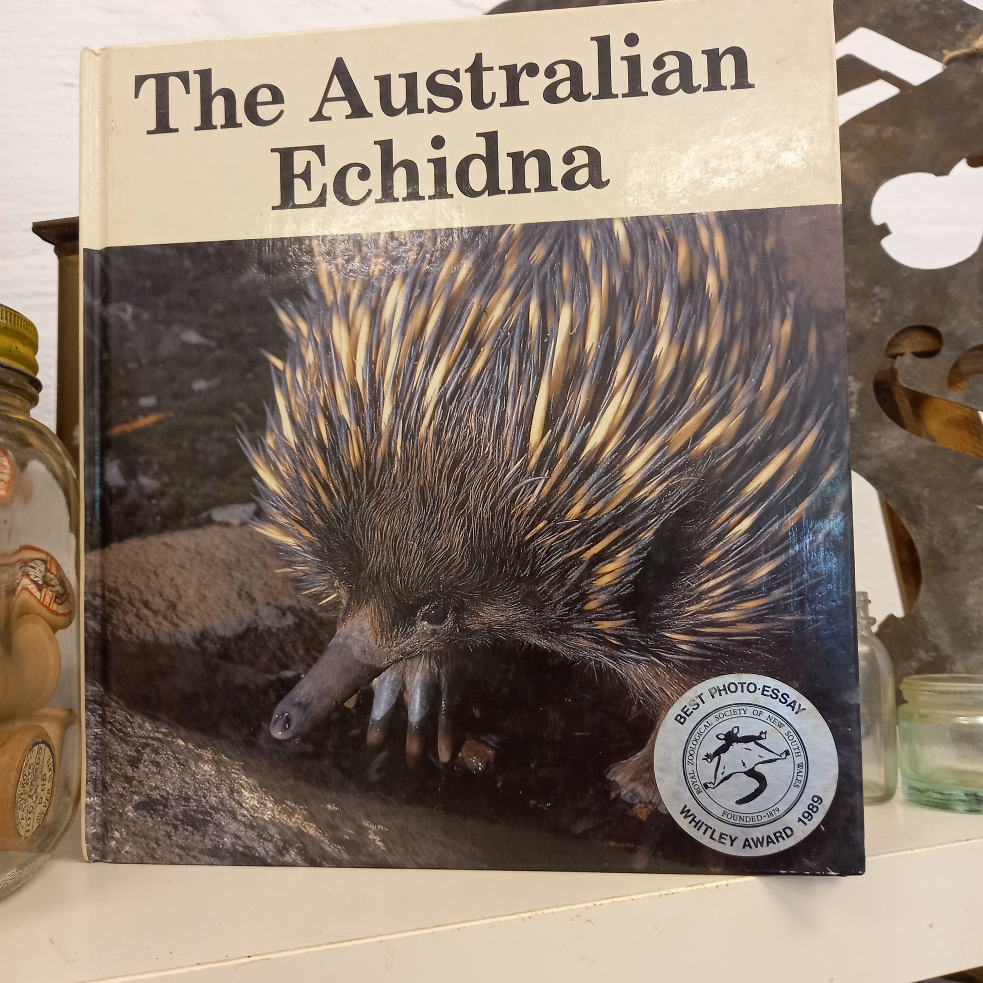 The Australian Echidna by Eleanor Stodart-Books-Tilbrook and Co