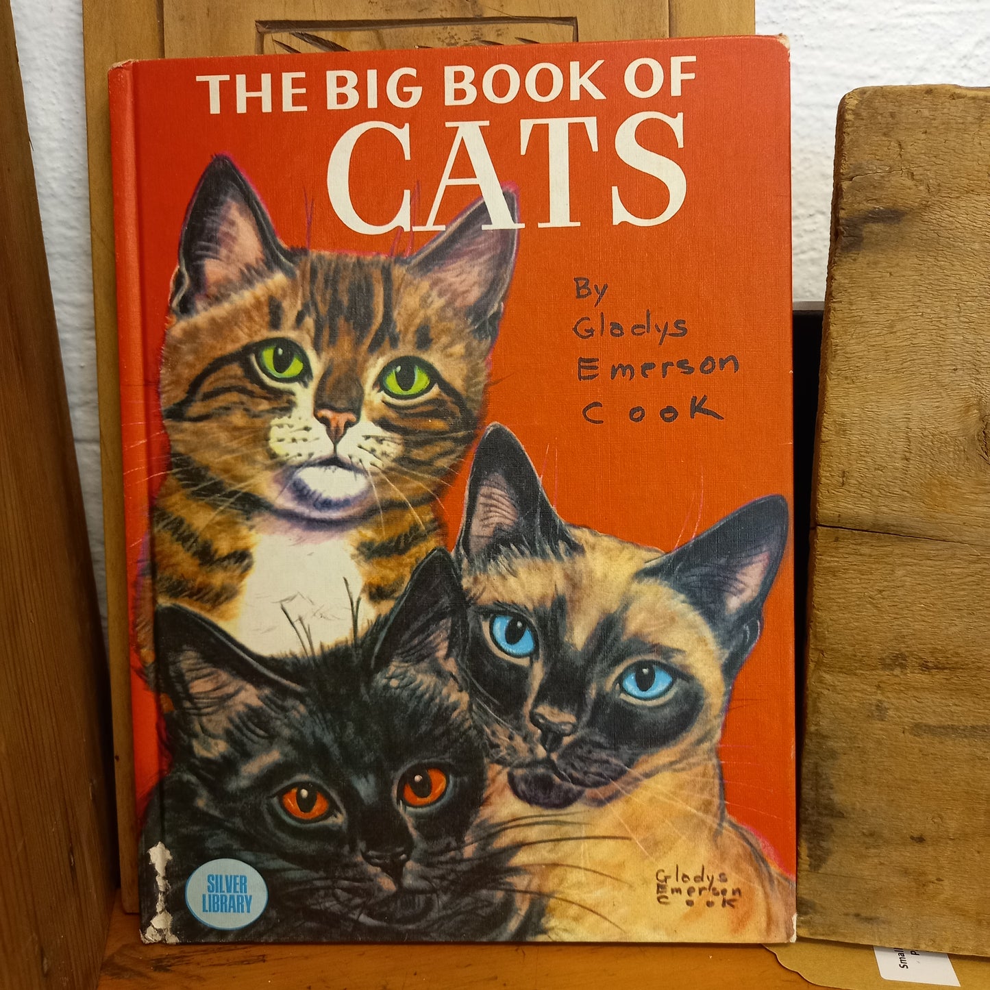 The Big book of Cats by Gladys Emerson Cook and Felix Sutton-Book-Tilbrook and Co