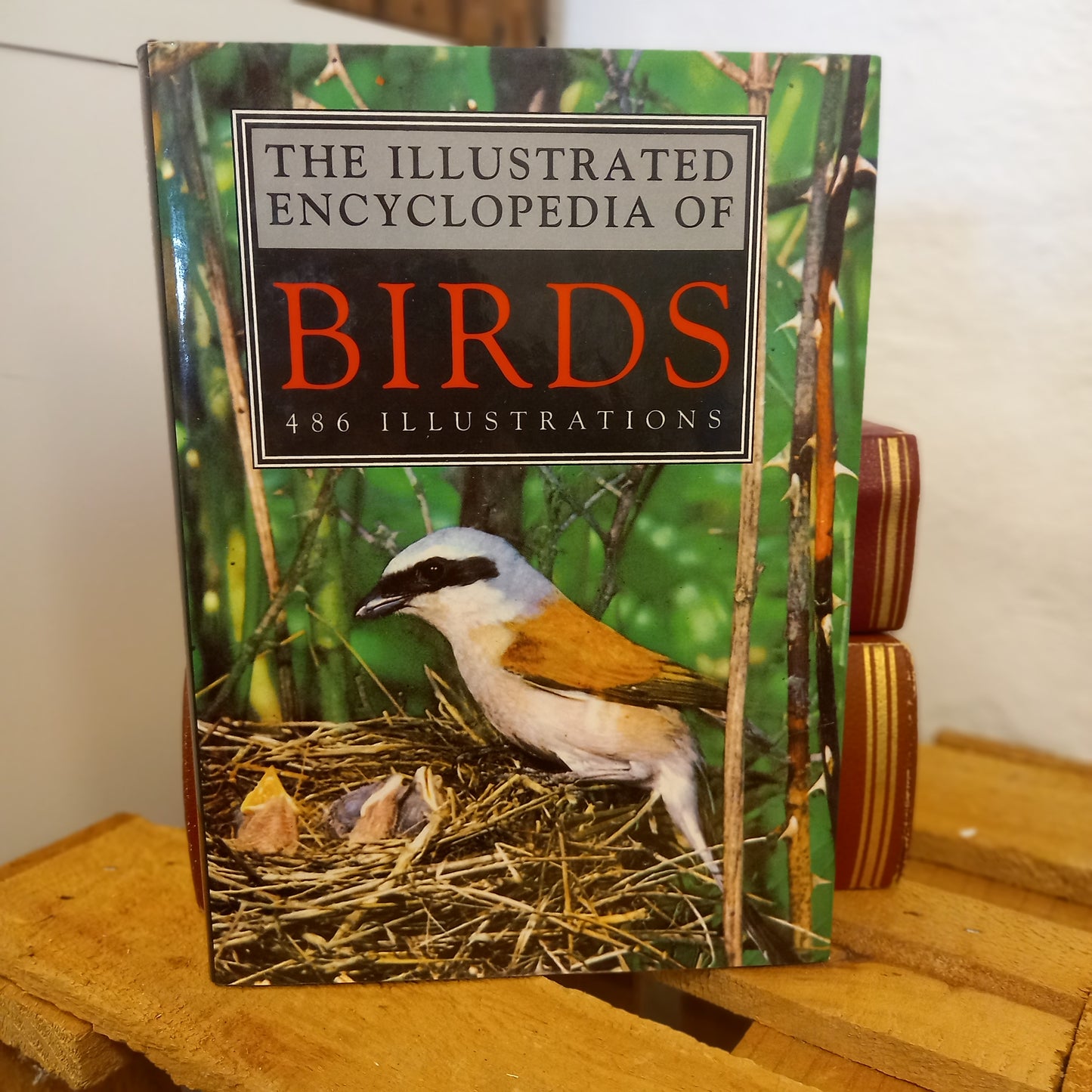 The Illustrated Encyclopedia of Birds by Jan Hanzák (1992)-Encyclopedia / Ornithology Reference-Tilbrook and Co