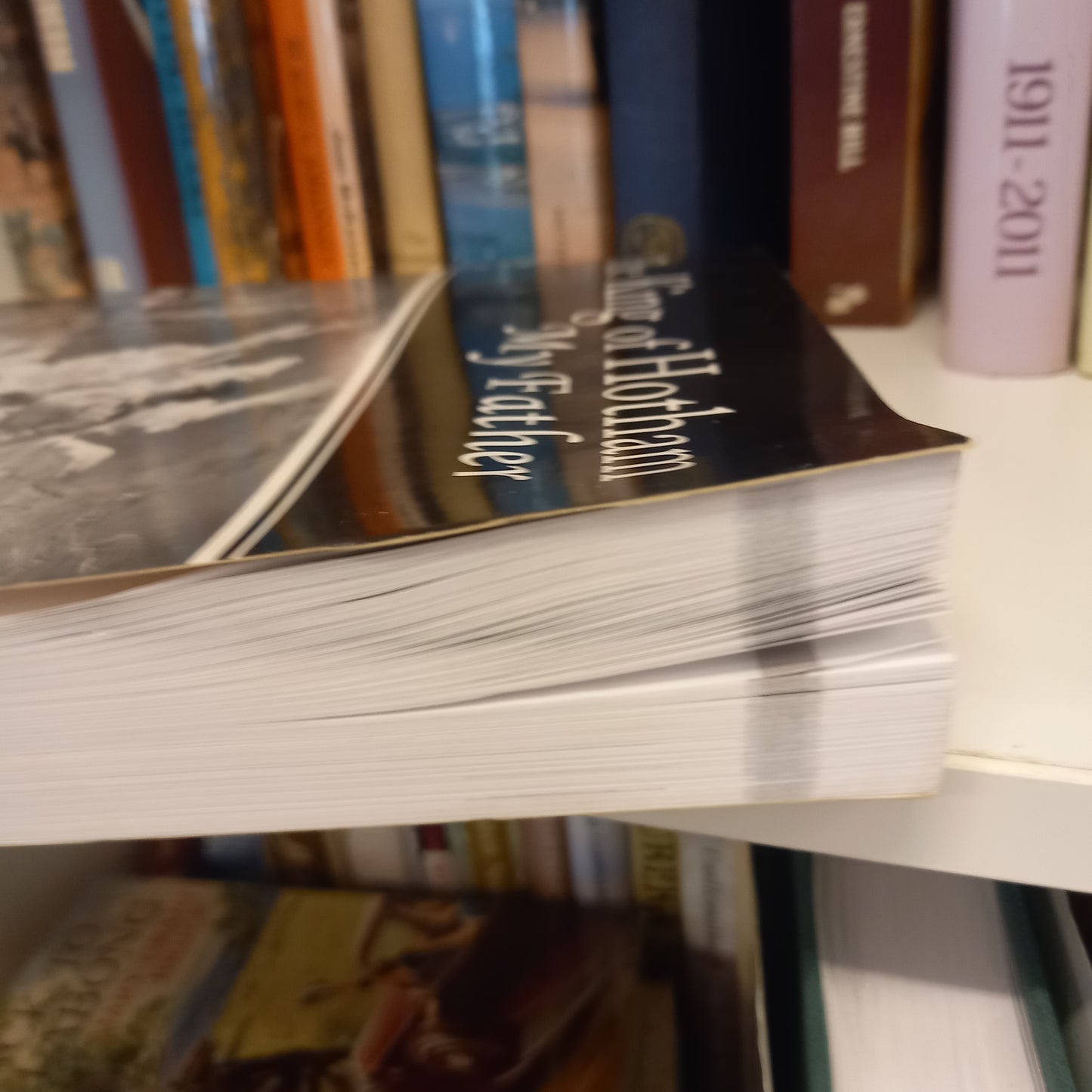 The King of Hotham: My Father by Gillian Salmon (2014, 2nd Edition) – Mt Hotham & The Drift Chalet History-Book - Biography-Tilbrook and Co