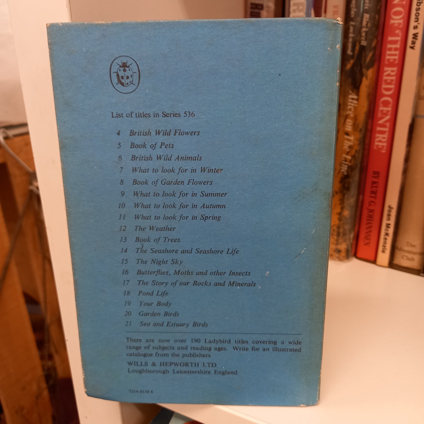 The Ladybird Book of Sea and Estuary Birds by John Leigh Pemberton (Series 536)-Books-Tilbrook and Co