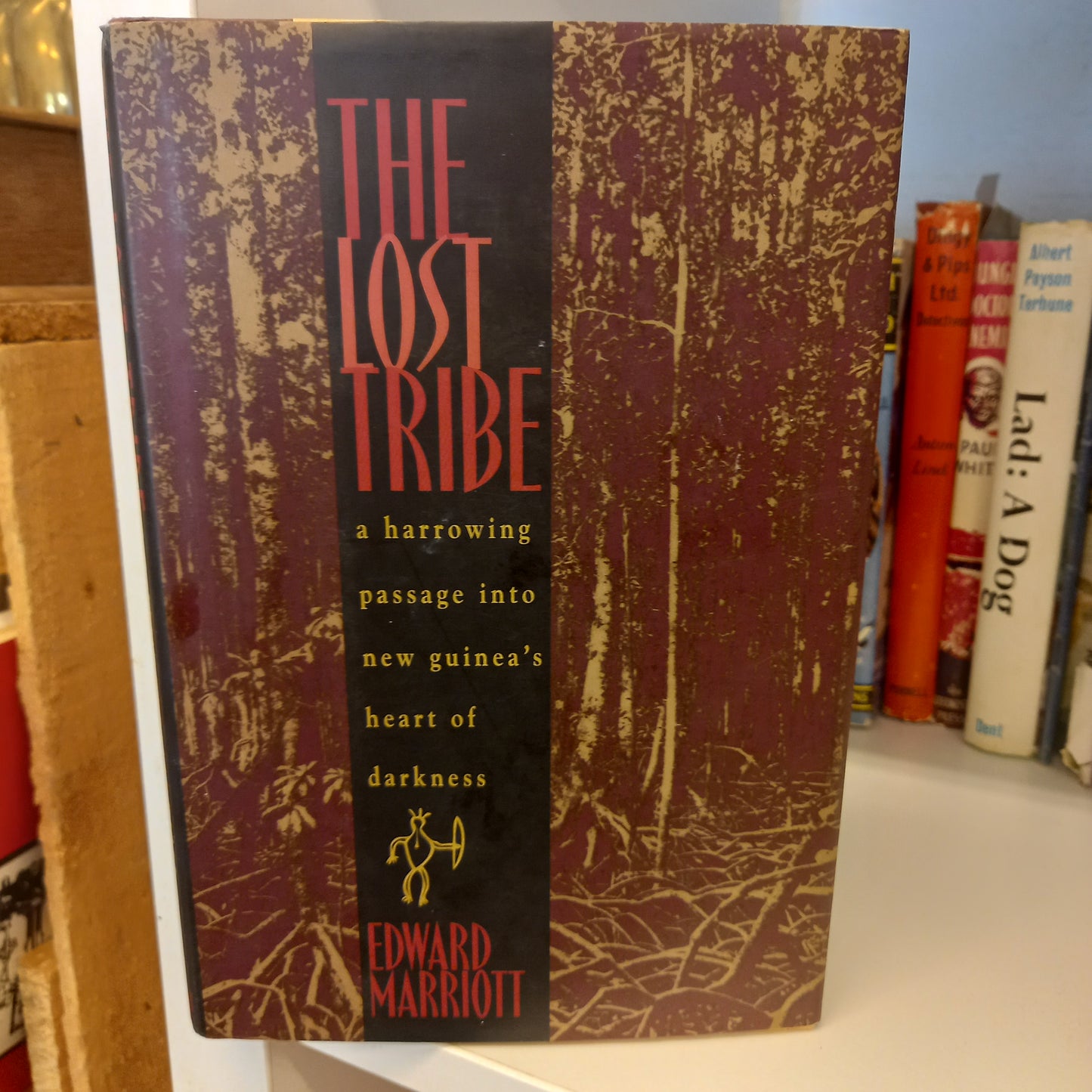 The Lost Tribe: A Harrowing Passage into New Guinea's Heart of Darkness by Edward Marriott-Book-Tilbrook and Co