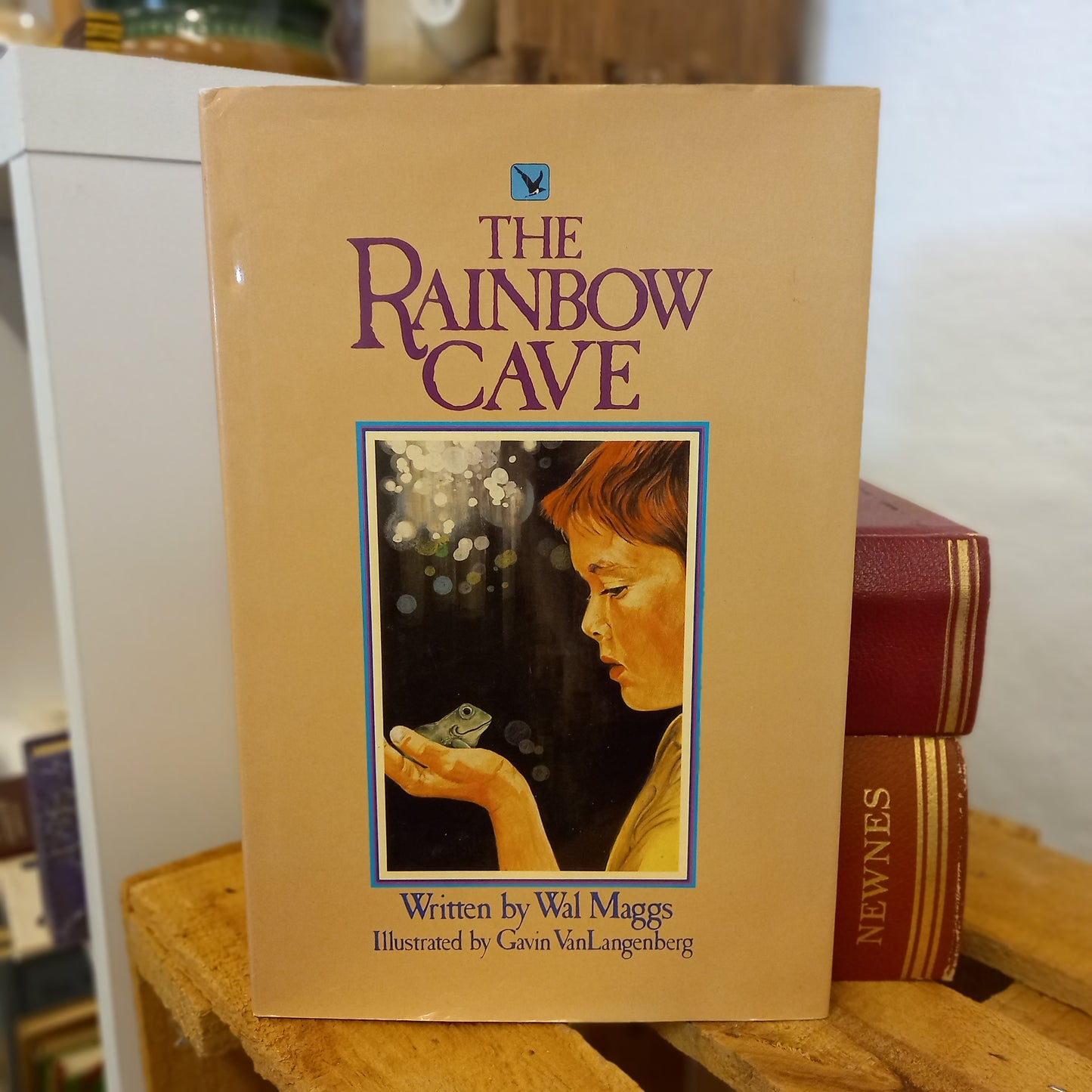 The Rainbow Cave Wal Maggs (1986) Illustrated Australian YA Fiction-Book - Young adult fiction / Illustrated story / Australian themes-Tilbrook and Co