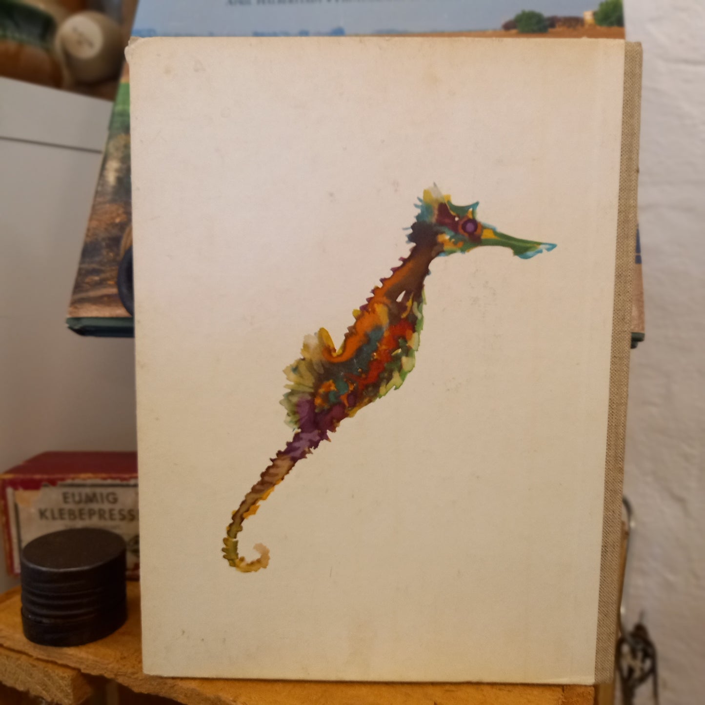 The Sea Horse by Frans van Anrooy – Illustrated by Jaap Tol (1968 First U.S. Edition)-Book - Vintage Illustrated Children's Book-Tilbrook and Co