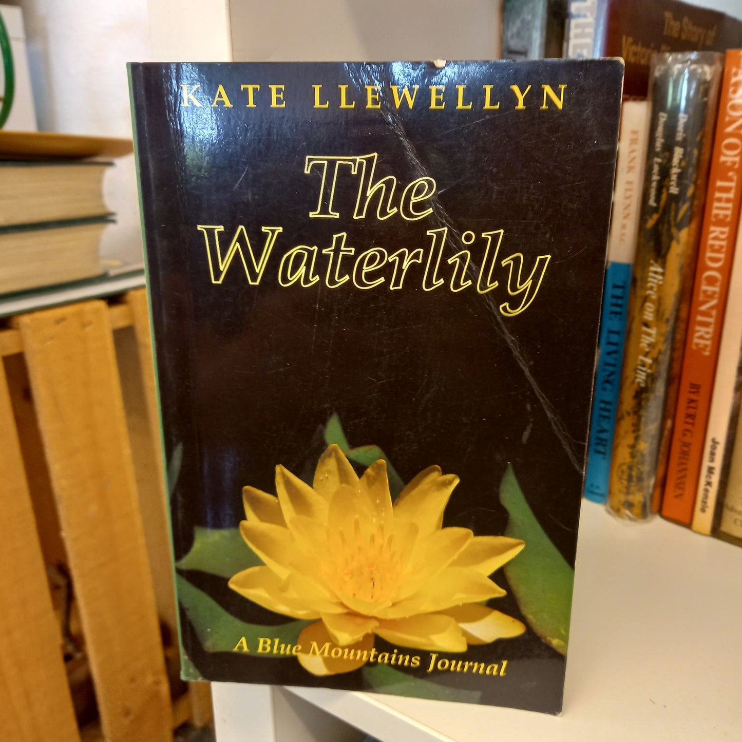 The Waterlily a Blue Mountains Journal by Kate llewellyn-Books-Tilbrook and Co